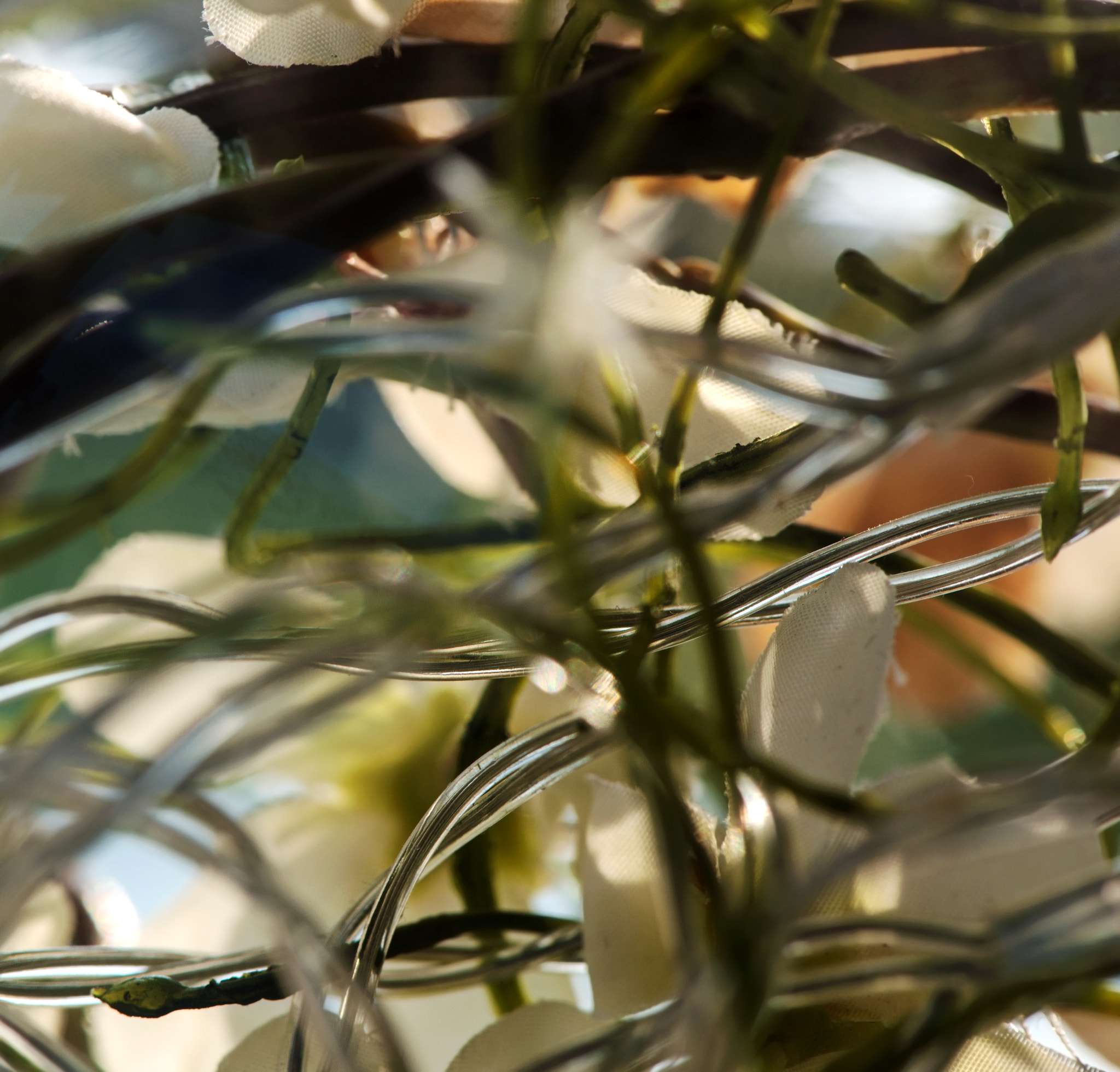 Nikon AF-S Micro-Nikkor 105mm F2.8G IF-ED VR sample photo. Twisted photography