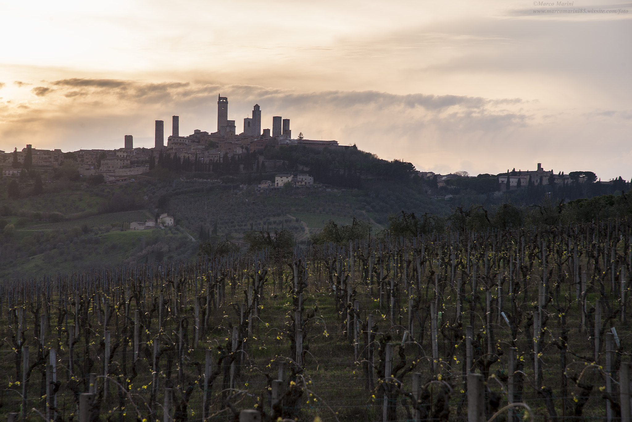 Nikon AF-S Nikkor 24-120mm F4G ED VR sample photo. Tuscan spring photography