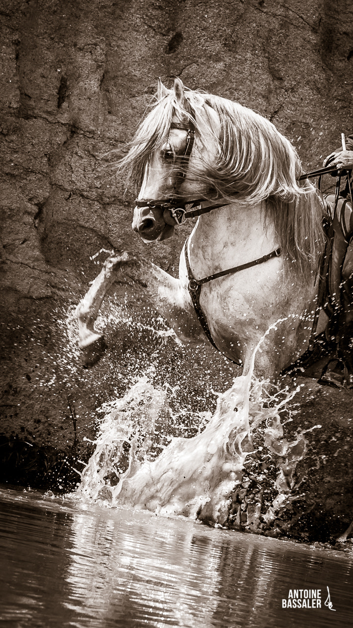 Canon EF 70-200mm F2.8L IS II USM sample photo. Adrien samedi photography