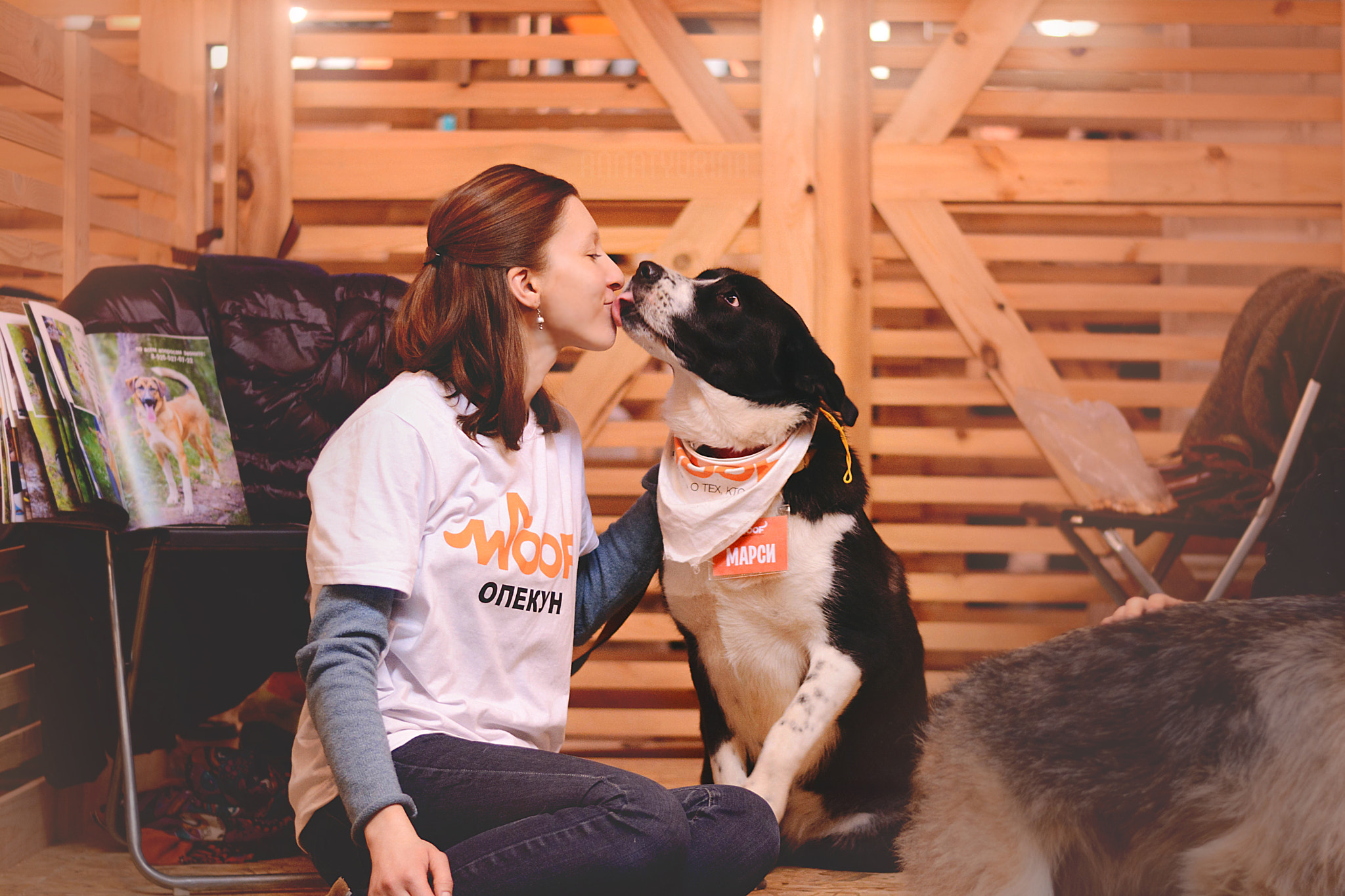 Nikon D7100 + Nikon AF-S Nikkor 50mm F1.8G sample photo. Woof-fest 2017 photography
