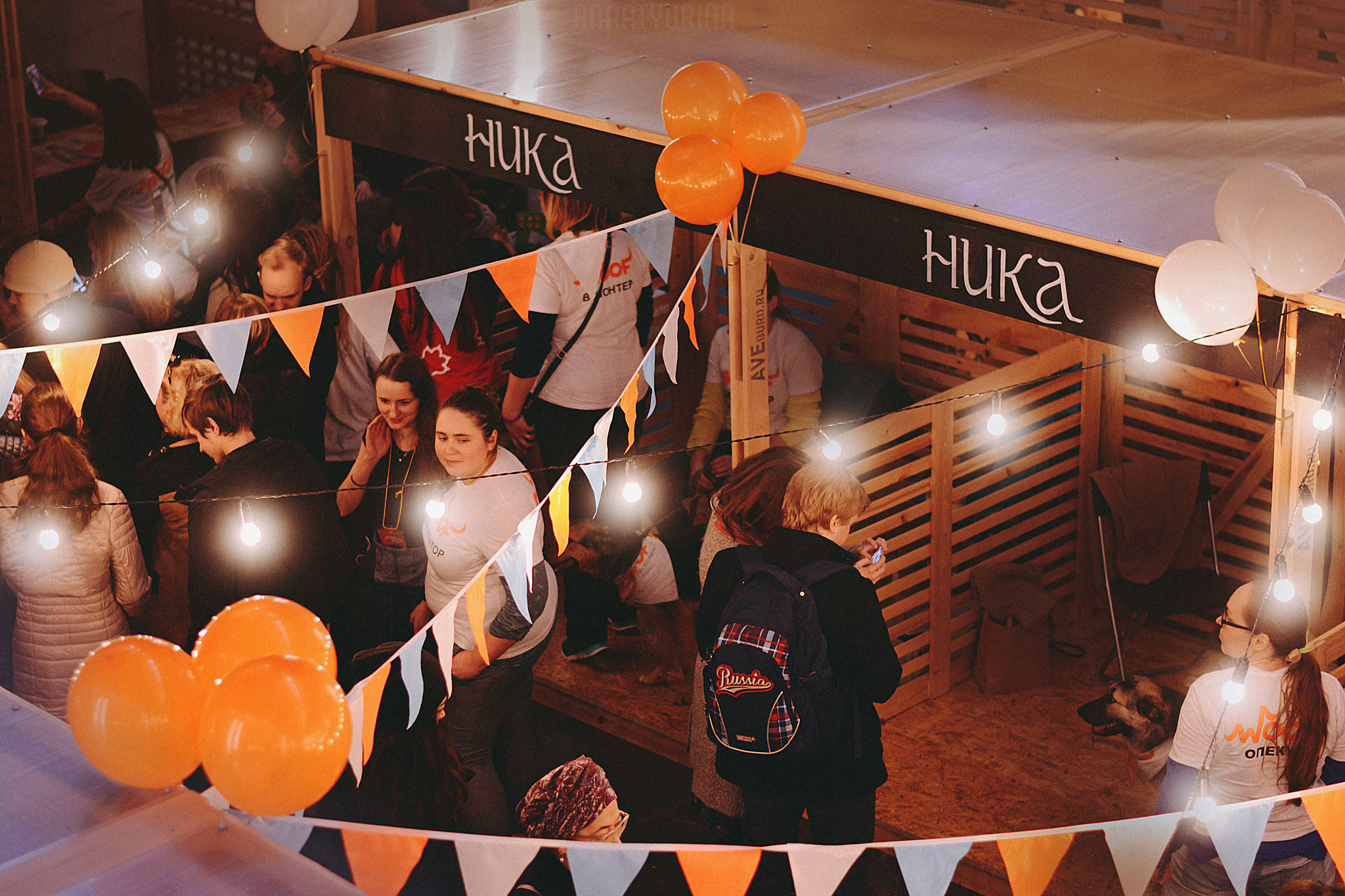 Nikon D7100 + Nikon AF-S Nikkor 50mm F1.8G sample photo. Woof-fest 2017 photography