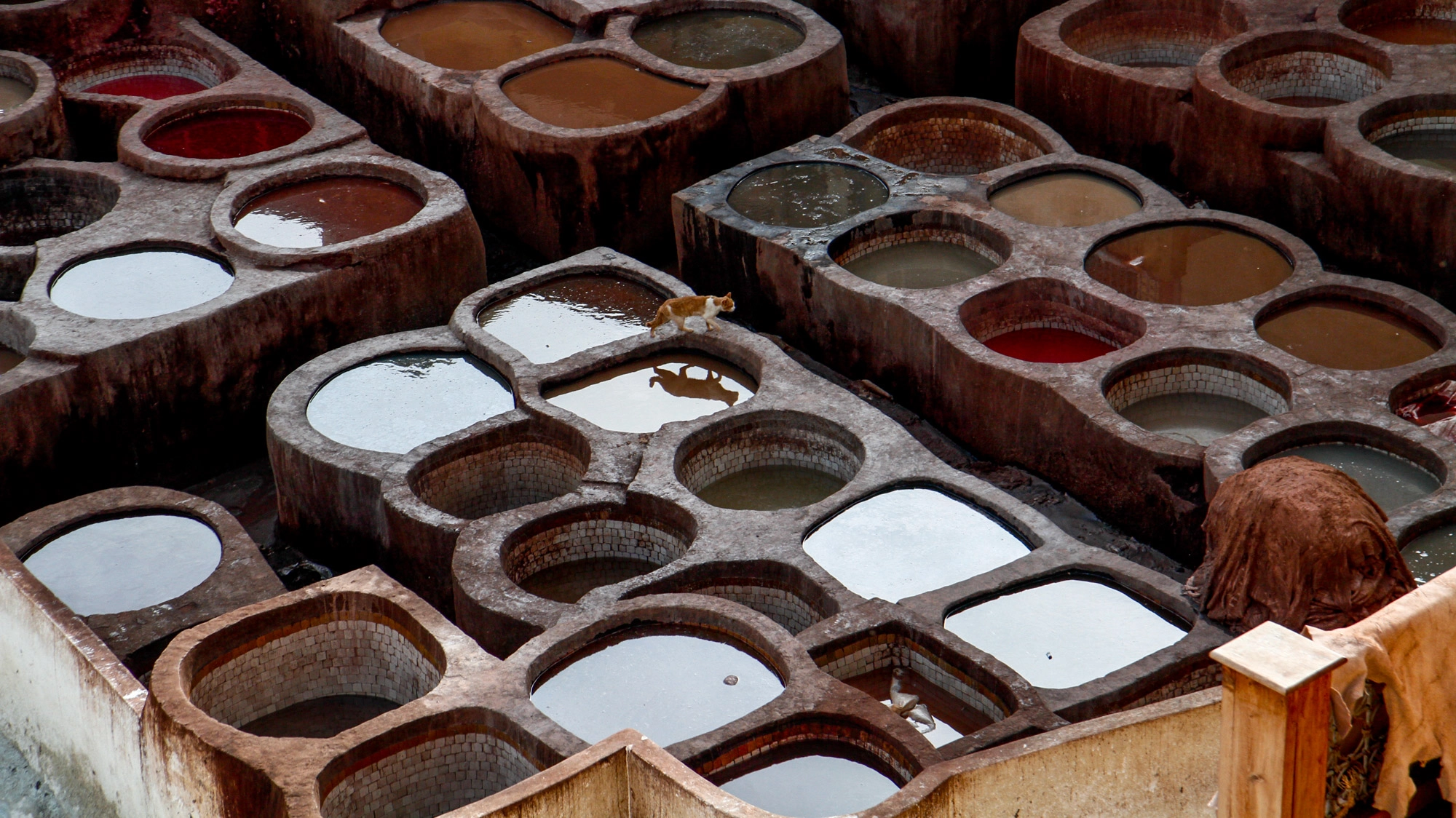 Canon EF-S 17-55mm F2.8 IS USM sample photo. Fes tannery photography