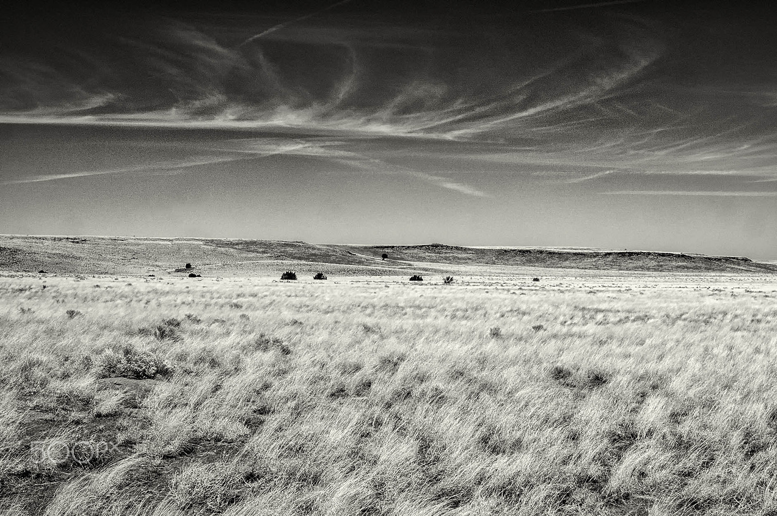 Nikon D300 sample photo. Arizona landscape photography