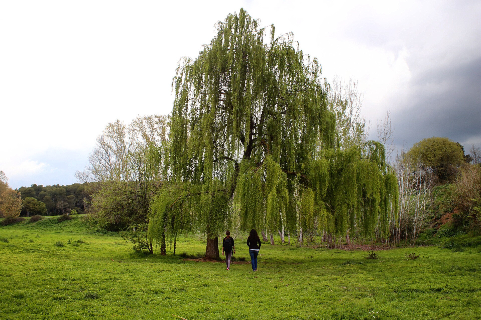 Canon EF 28-80mm f/3.5-5.6 sample photo. The visit photography