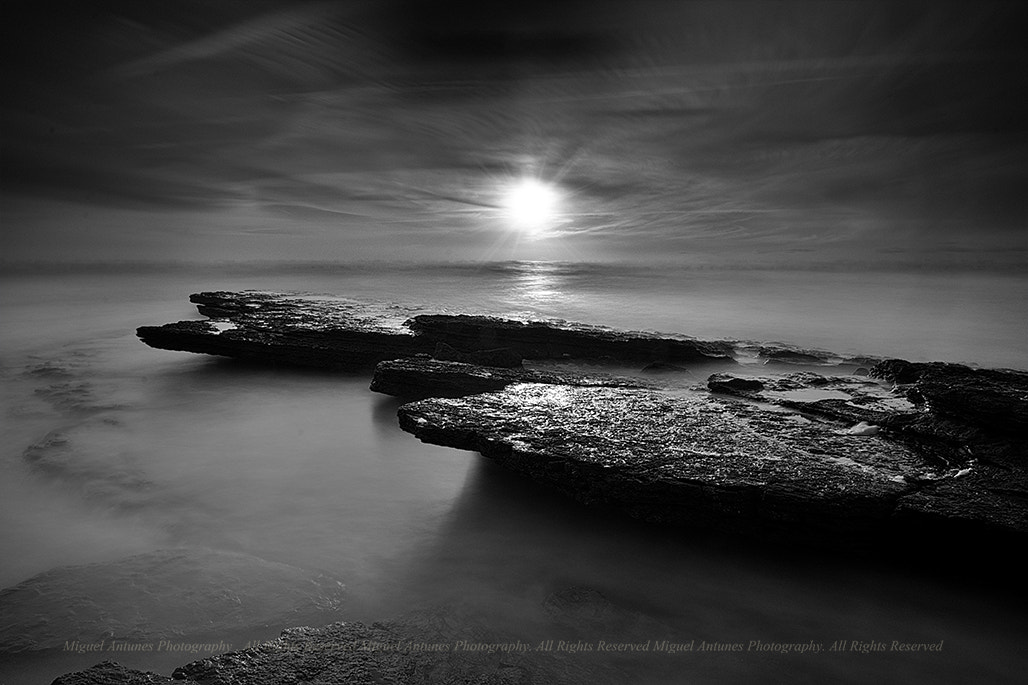 Sigma 10-20mm F3.5 EX DC HSM sample photo. Into the sun photography