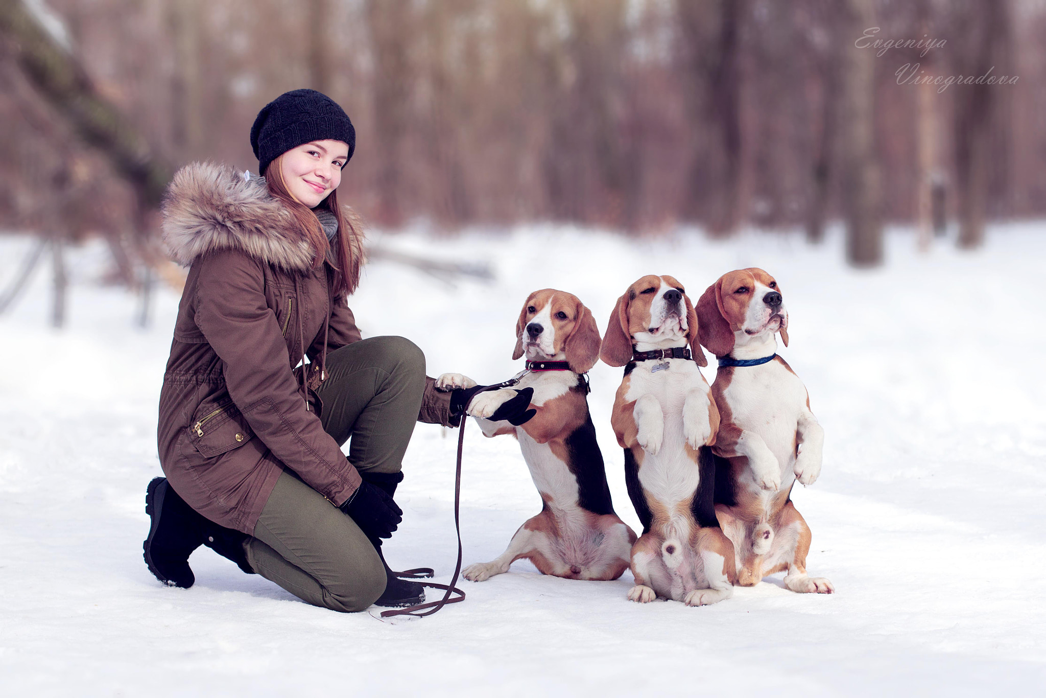 Canon EOS 7D + Canon EF 50mm F1.4 USM sample photo. Beagles photography