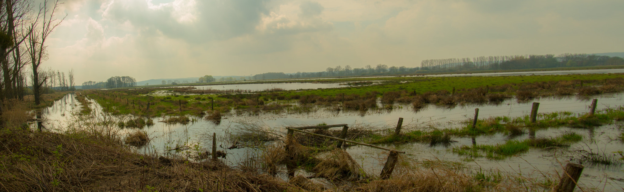 Canon EOS 70D + Tamron 18-270mm F3.5-6.3 Di II VC PZD sample photo. The marshes photography