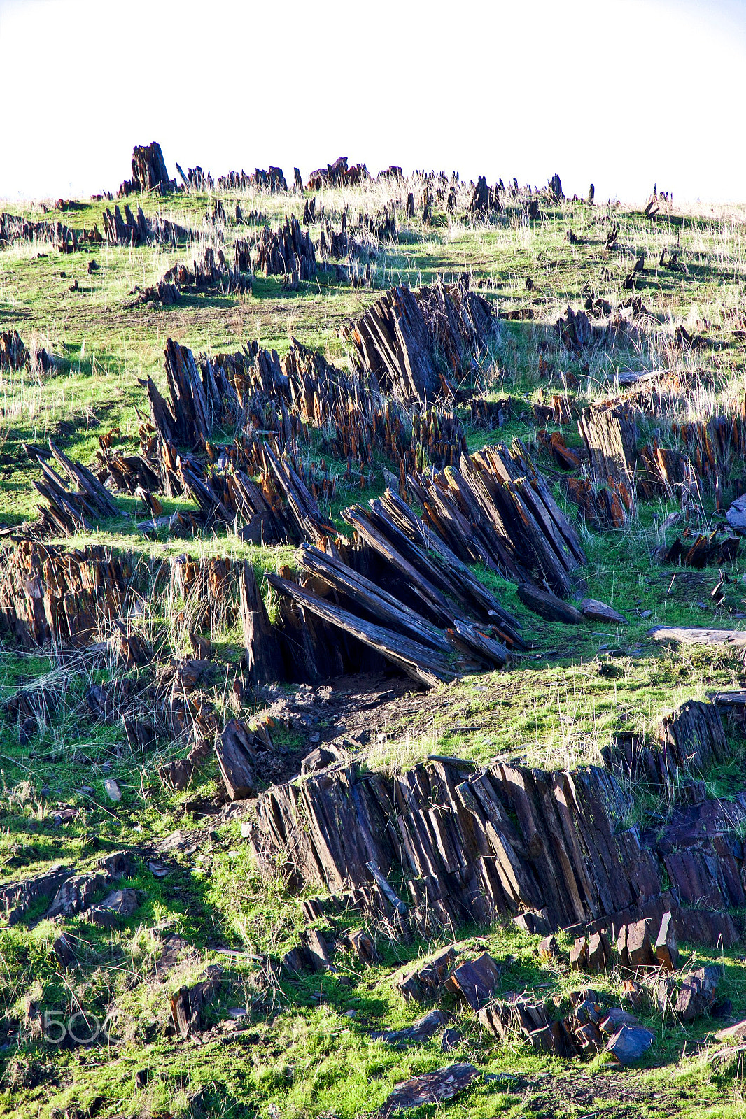 Canon EOS 100D (EOS Rebel SL1 / EOS Kiss X7) sample photo. Rock formations on rte. 140 photography
