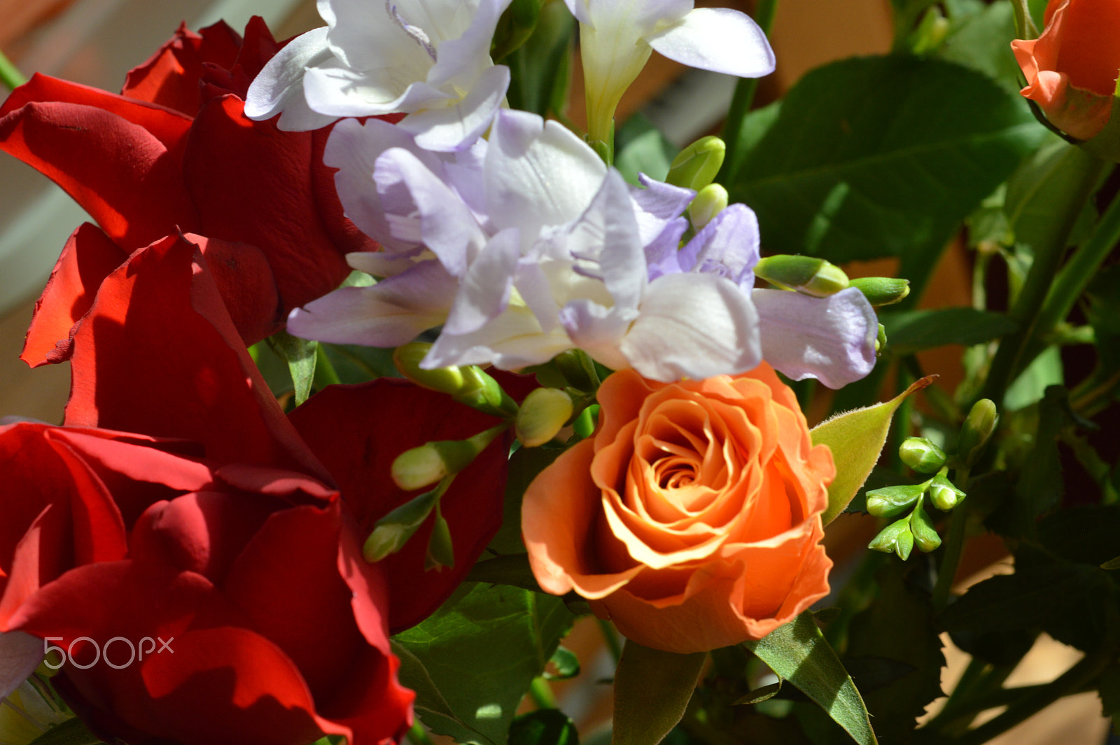 Nikon D3200 + Nikon AF Nikkor 50mm F1.8D sample photo. Flowers in sunshine photography