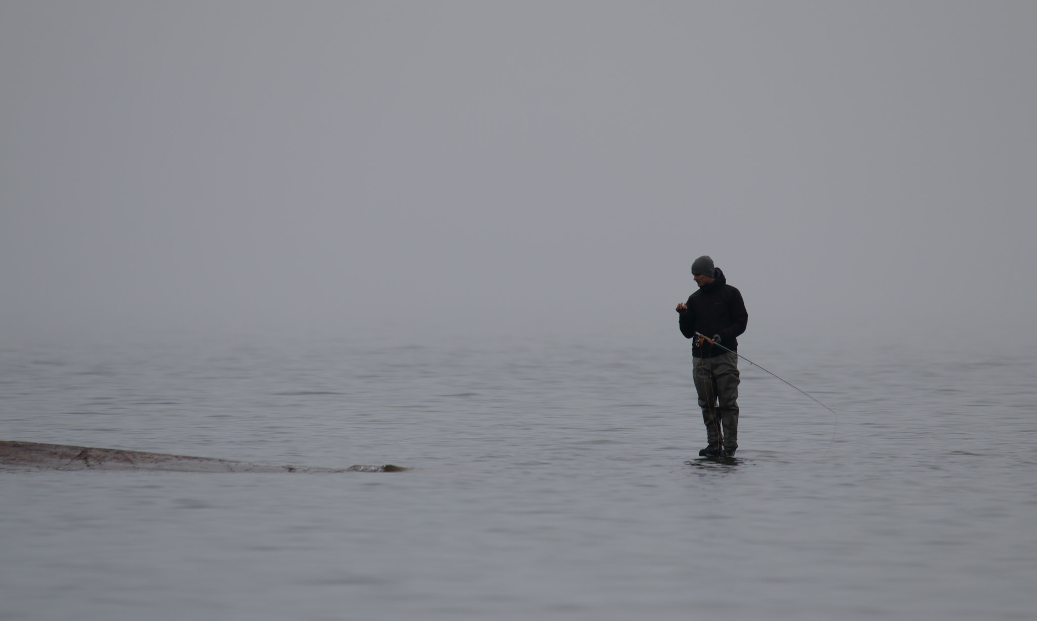 Canon EOS 70D sample photo. Fog no fish photography