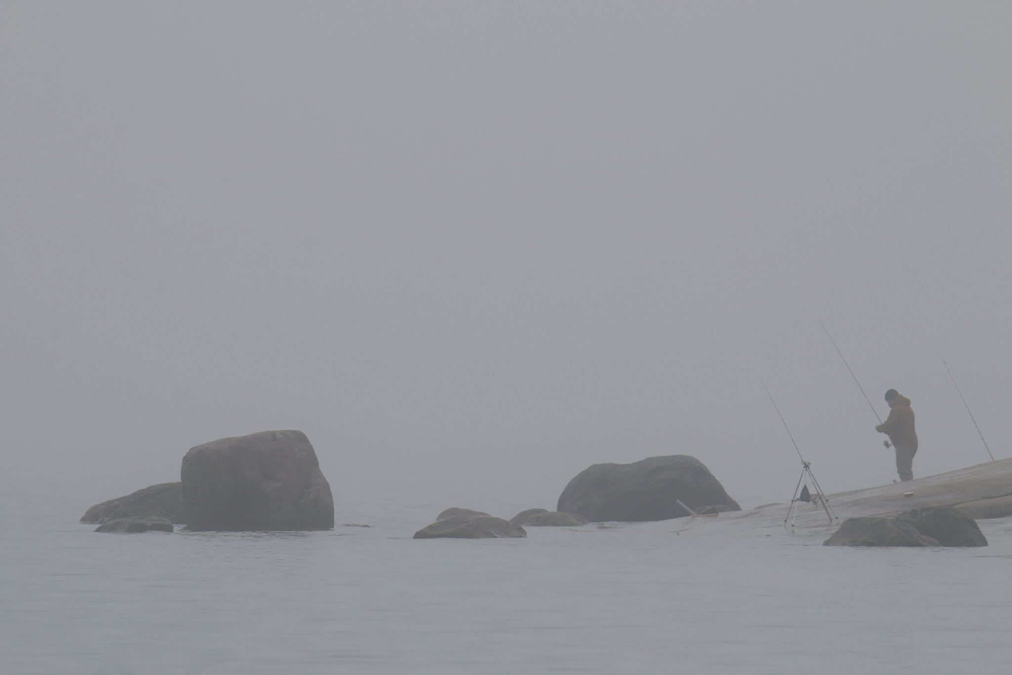Canon EOS 70D sample photo. Catching fish in the fog photography