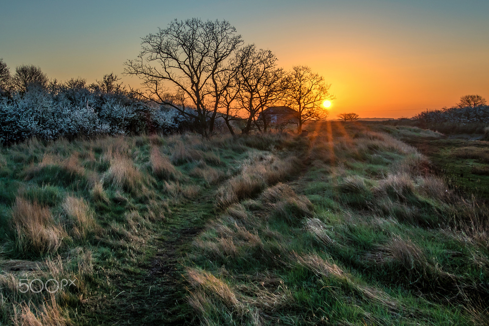 Nikon D750 + Nikon AF-S Nikkor 20mm F1.8G ED sample photo. Country sunrise photography