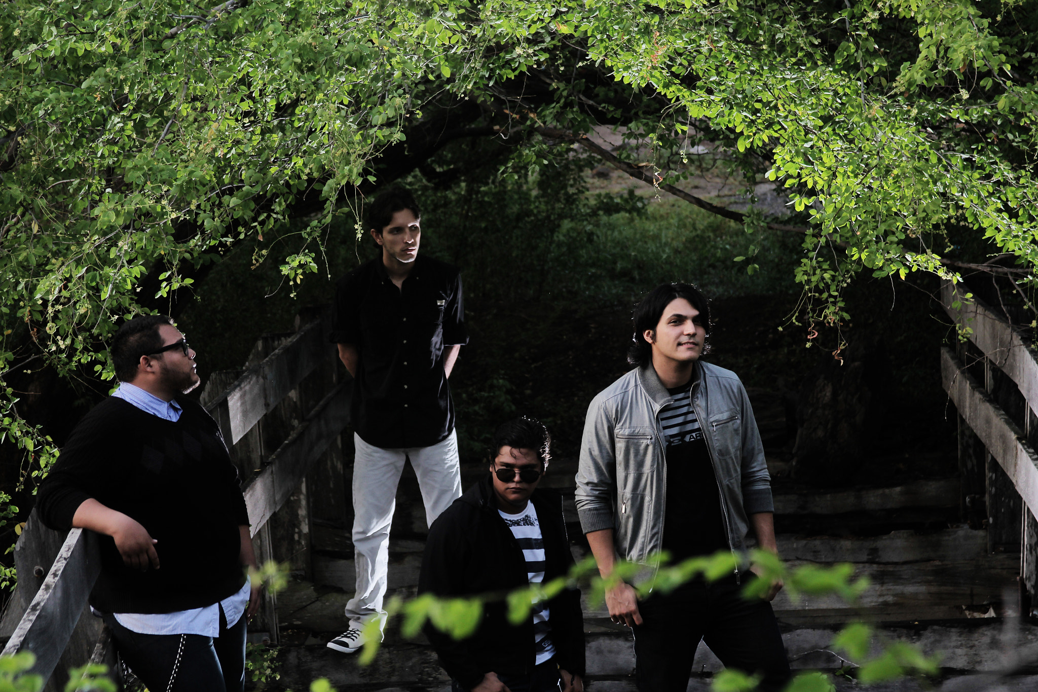 Canon EF 28-135mm F3.5-5.6 IS USM sample photo. Banda alternativa theaki photography