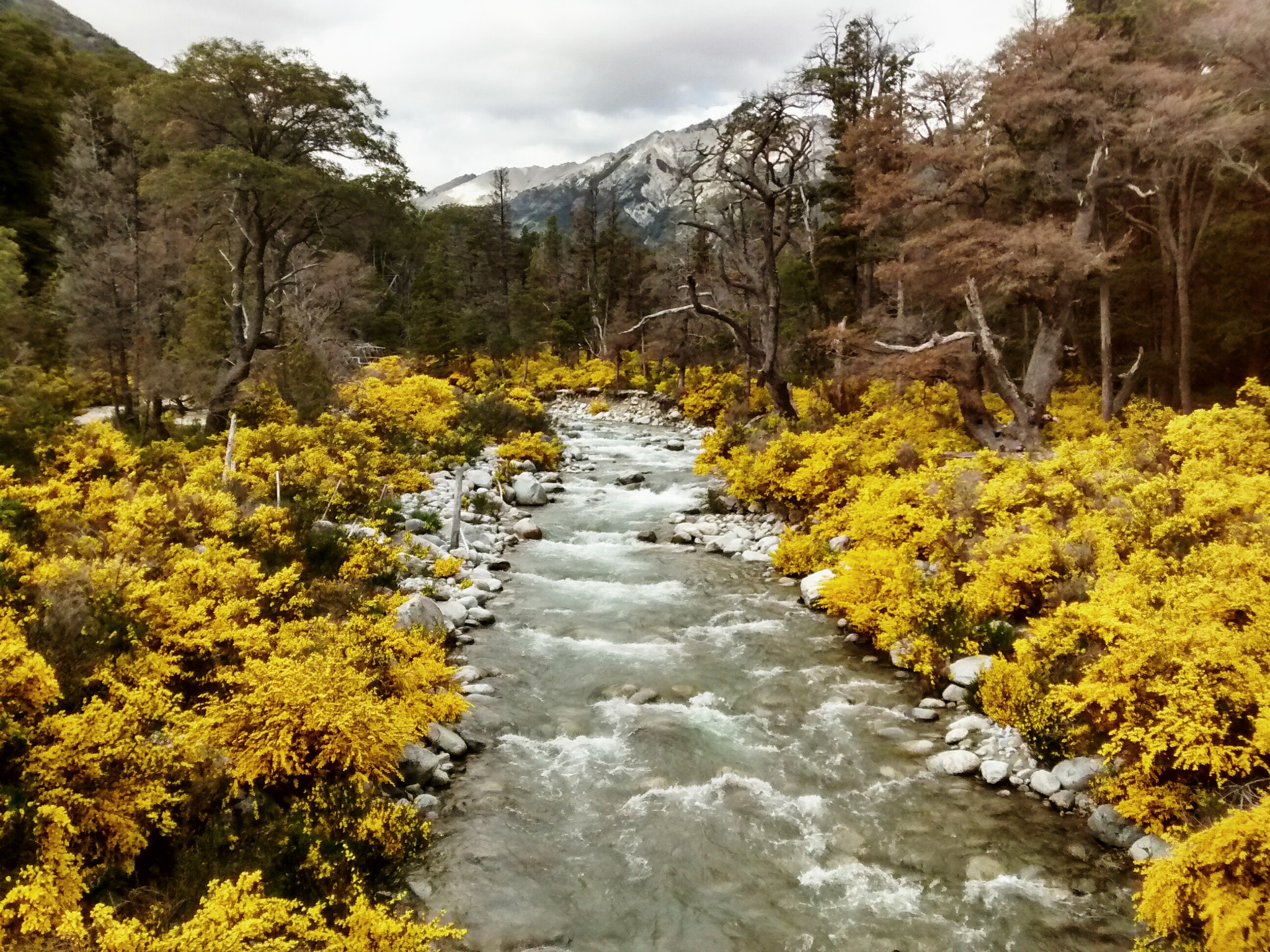 Motorola XT1032 sample photo. Moving nature photography
