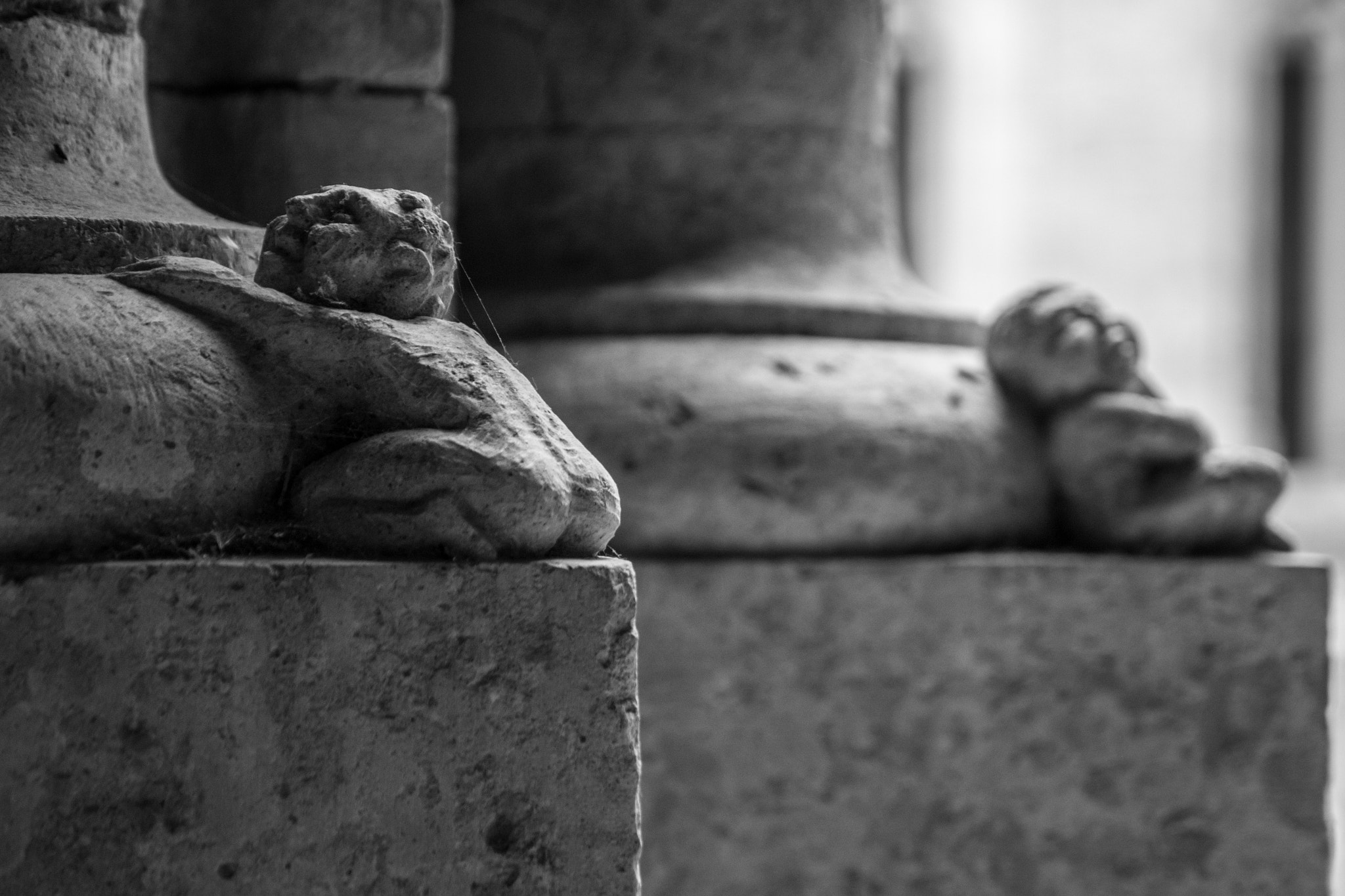 Sigma 17-70mm F2.8-4 DC Macro OS HSM sample photo. Are you punished? photography