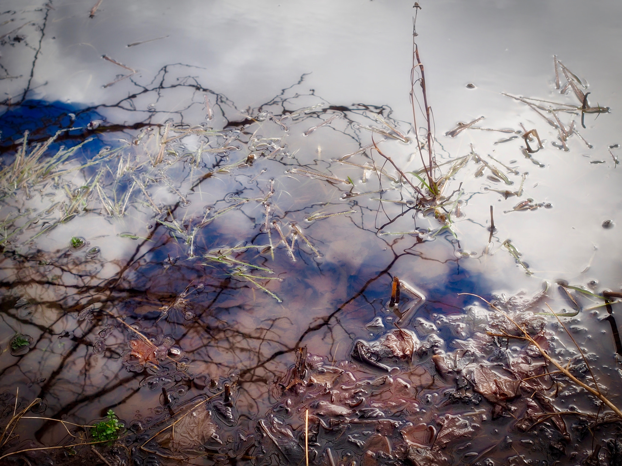 Olympus OM-D E-M5 II + Olympus M.Zuiko Digital 17mm F2.8 Pancake sample photo. Spegling photography