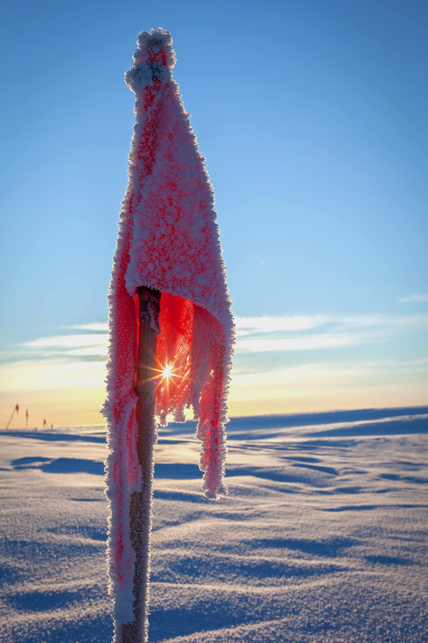 Canon EF 50mm F1.8 II sample photo. Flag frost, antarctica photography