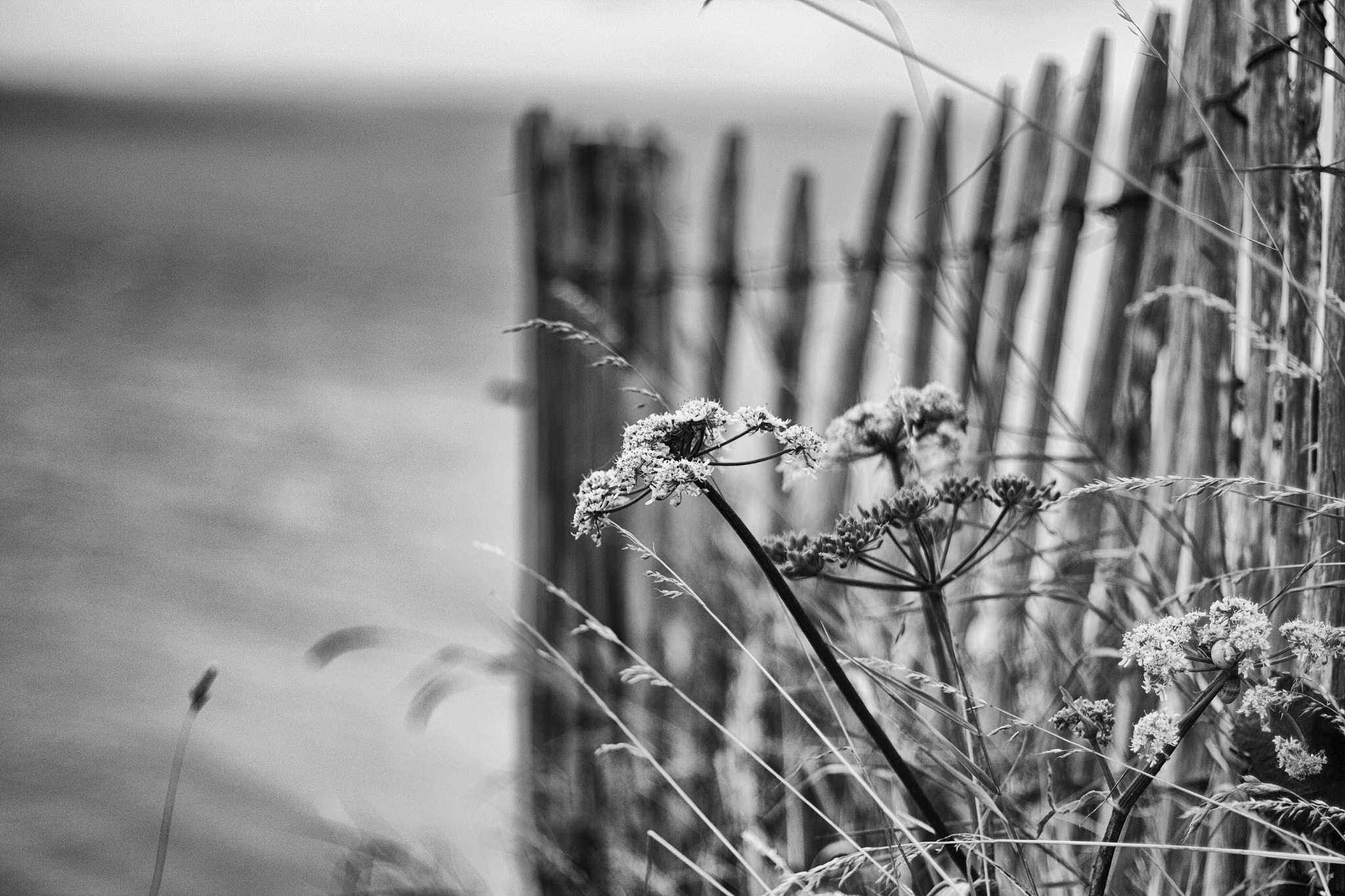 Canon EOS 700D (EOS Rebel T5i / EOS Kiss X7i) sample photo. Cap gris nez photography