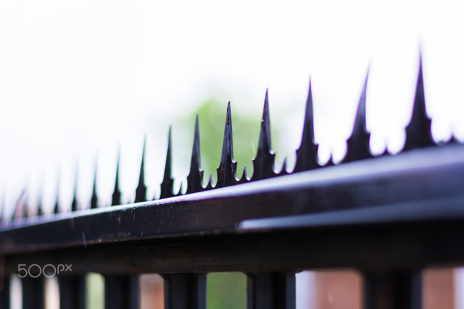 Nikon D5200 + Nikon AF-S Nikkor 50mm F1.8G sample photo. Grid and peaks photography