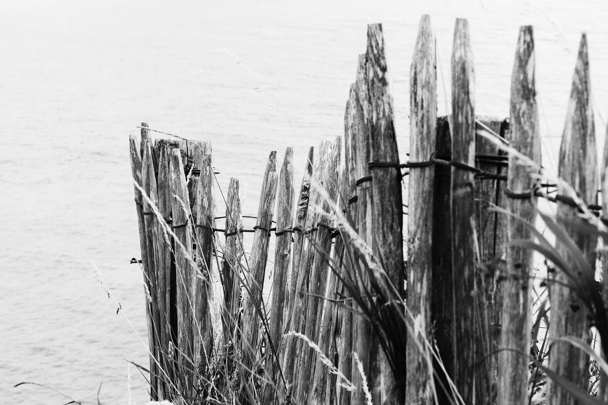 Canon EOS 700D (EOS Rebel T5i / EOS Kiss X7i) + Canon EF 50mm F1.4 USM sample photo. Cap gris nez photography