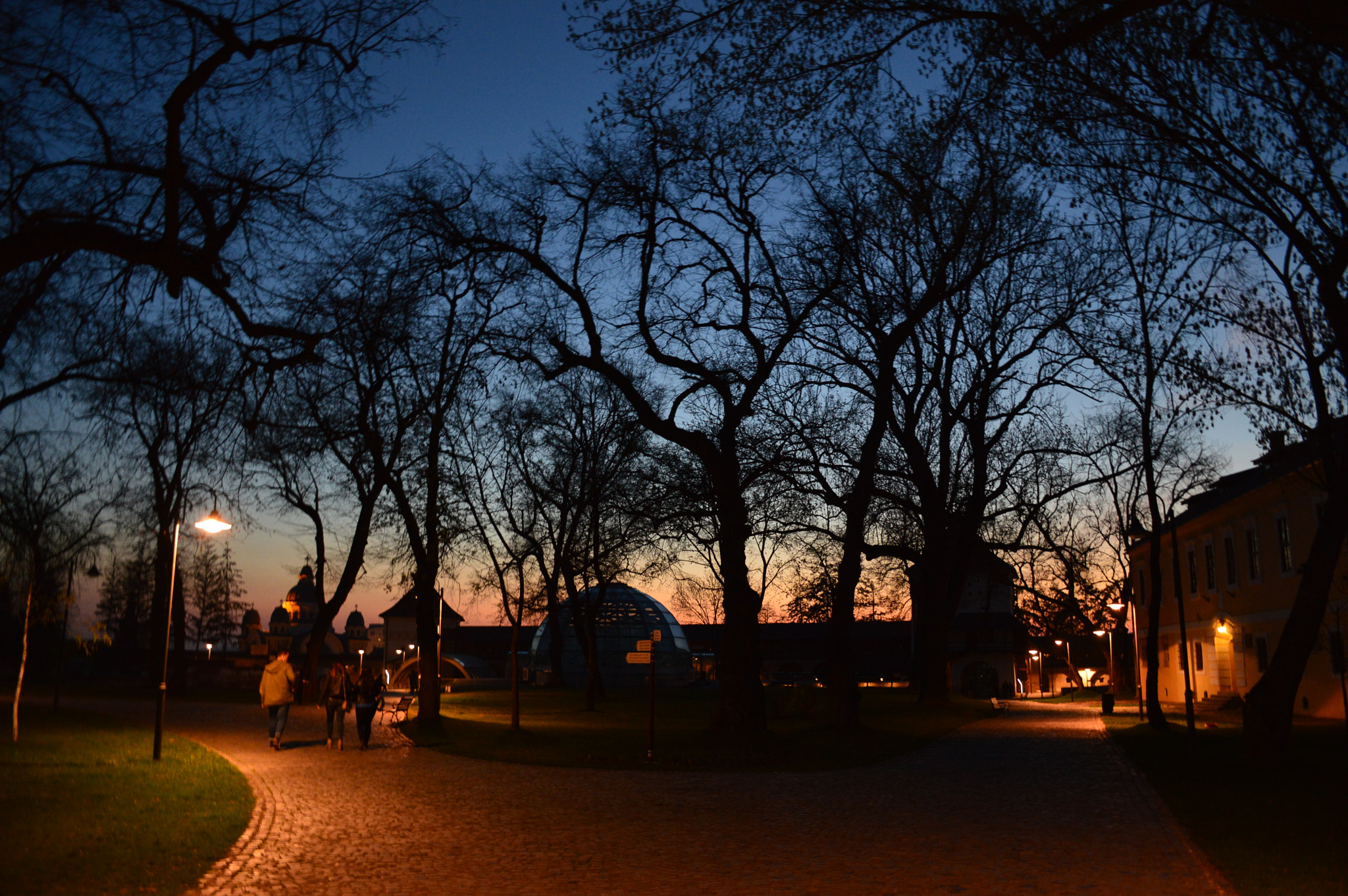 Nikon D3200 sample photo. Night out photography