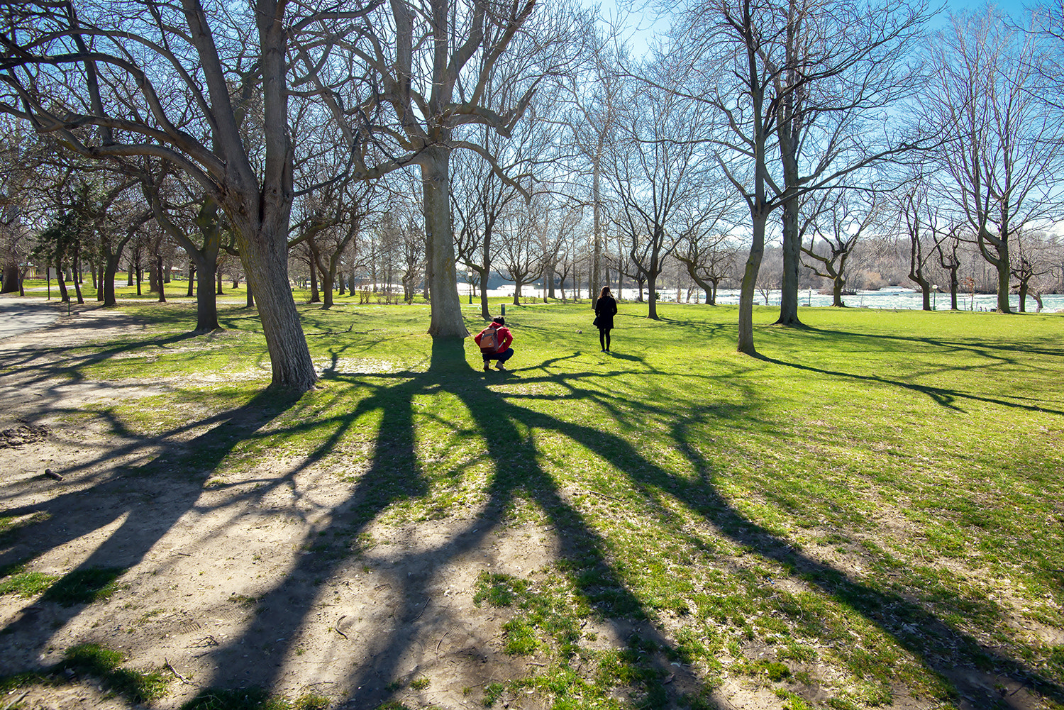 Nikon D610 + Nikon AF-S Nikkor 16-35mm F4G ED VR sample photo. In early spring photography