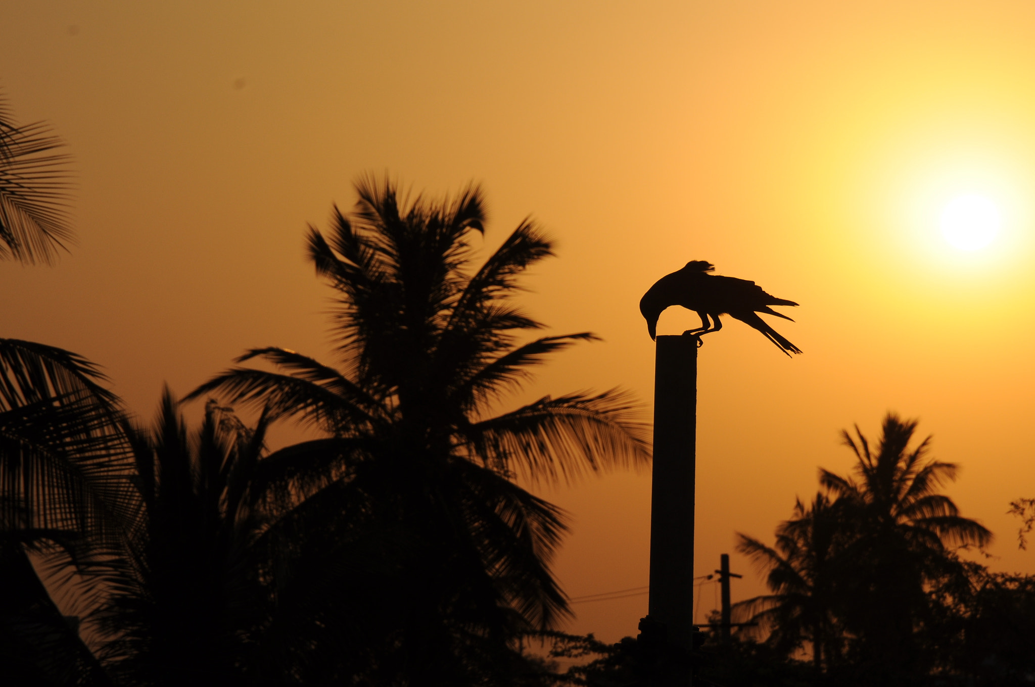 Nikon D90 sample photo. Sunset photography