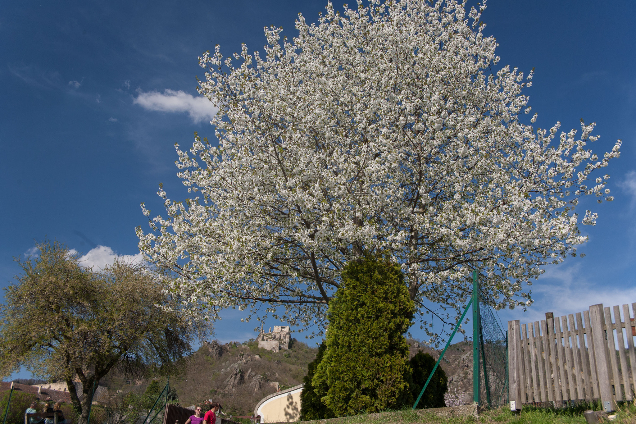 Canon EOS 5D + Canon EF 24-85mm F3.5-4.5 USM sample photo. Die wachau photography