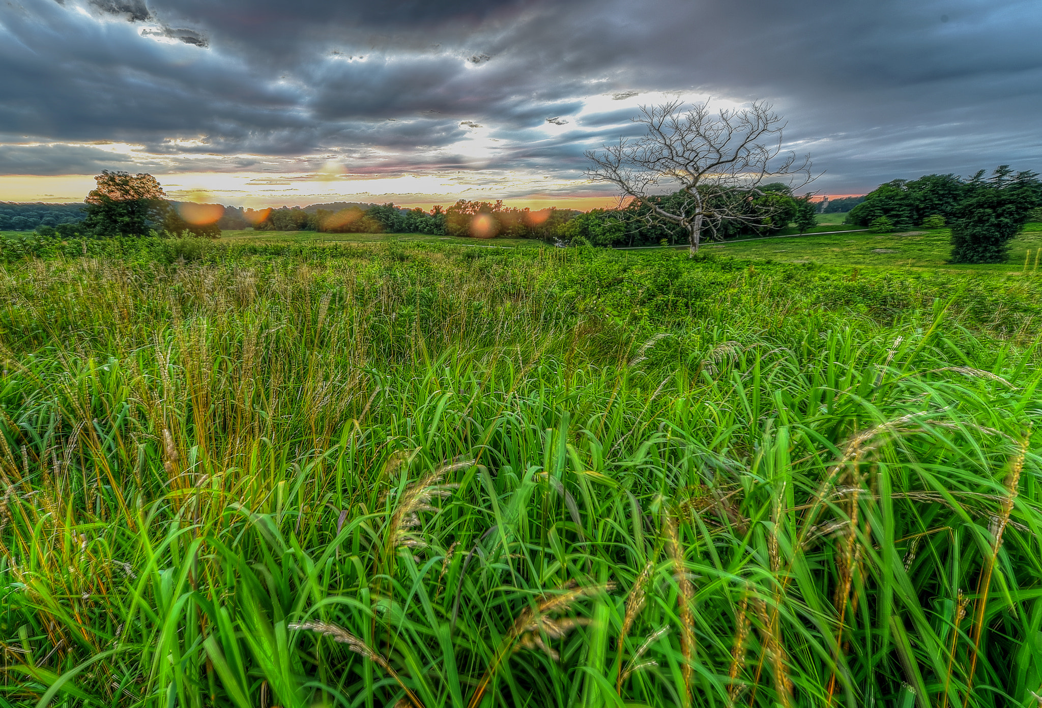 Nikon D750 + Nikon AF-S Nikkor 14-24mm F2.8G ED sample photo. After the storm photography