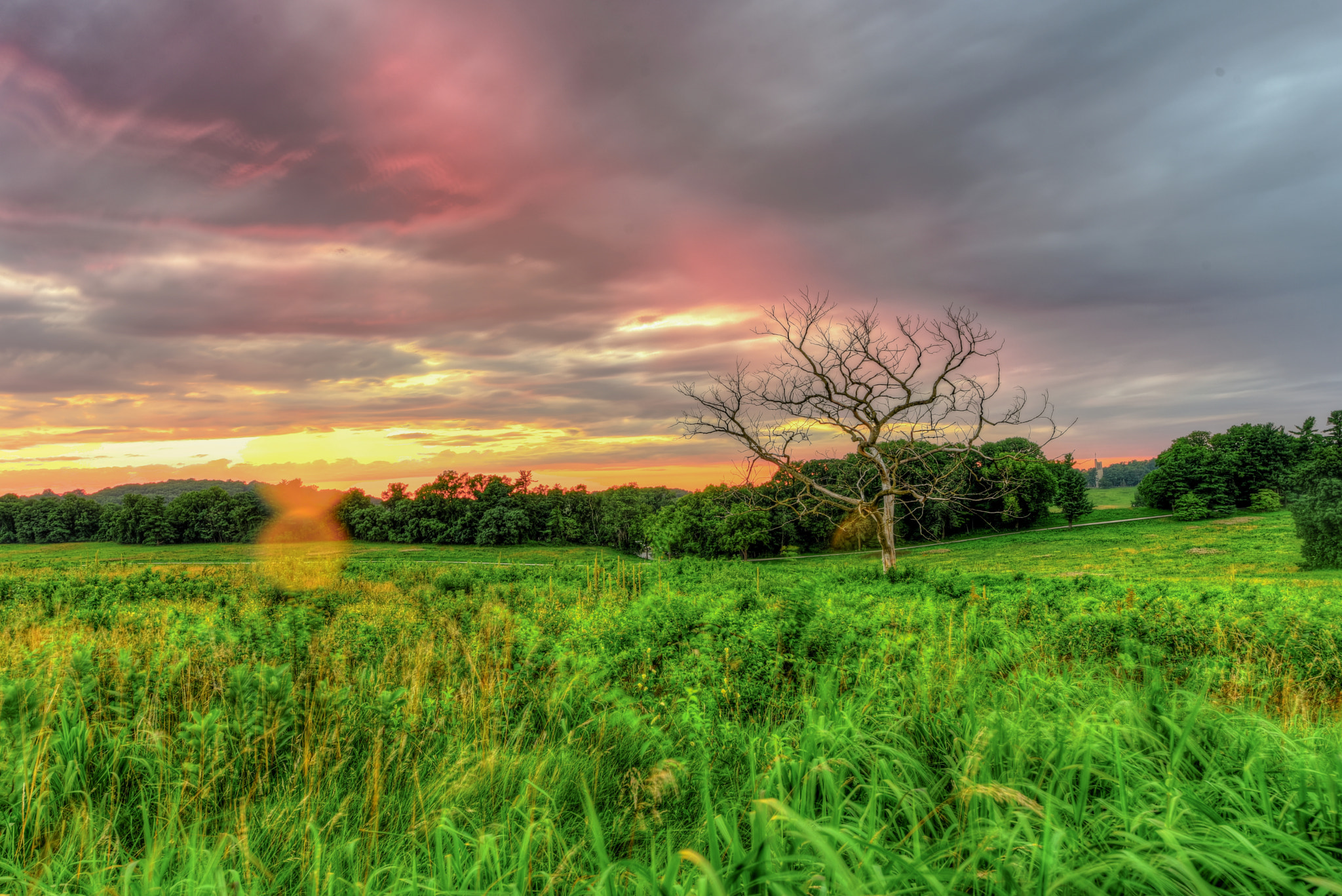 Nikon D750 + Nikon AF-S Nikkor 14-24mm F2.8G ED sample photo. In the crucible photography