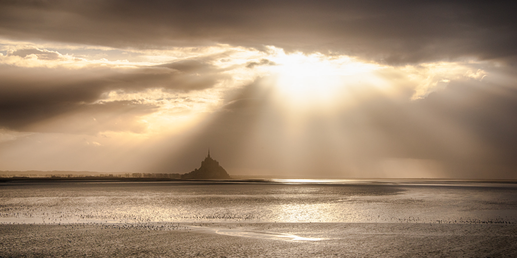 Nikon D800 sample photo. Mont de lumière photography