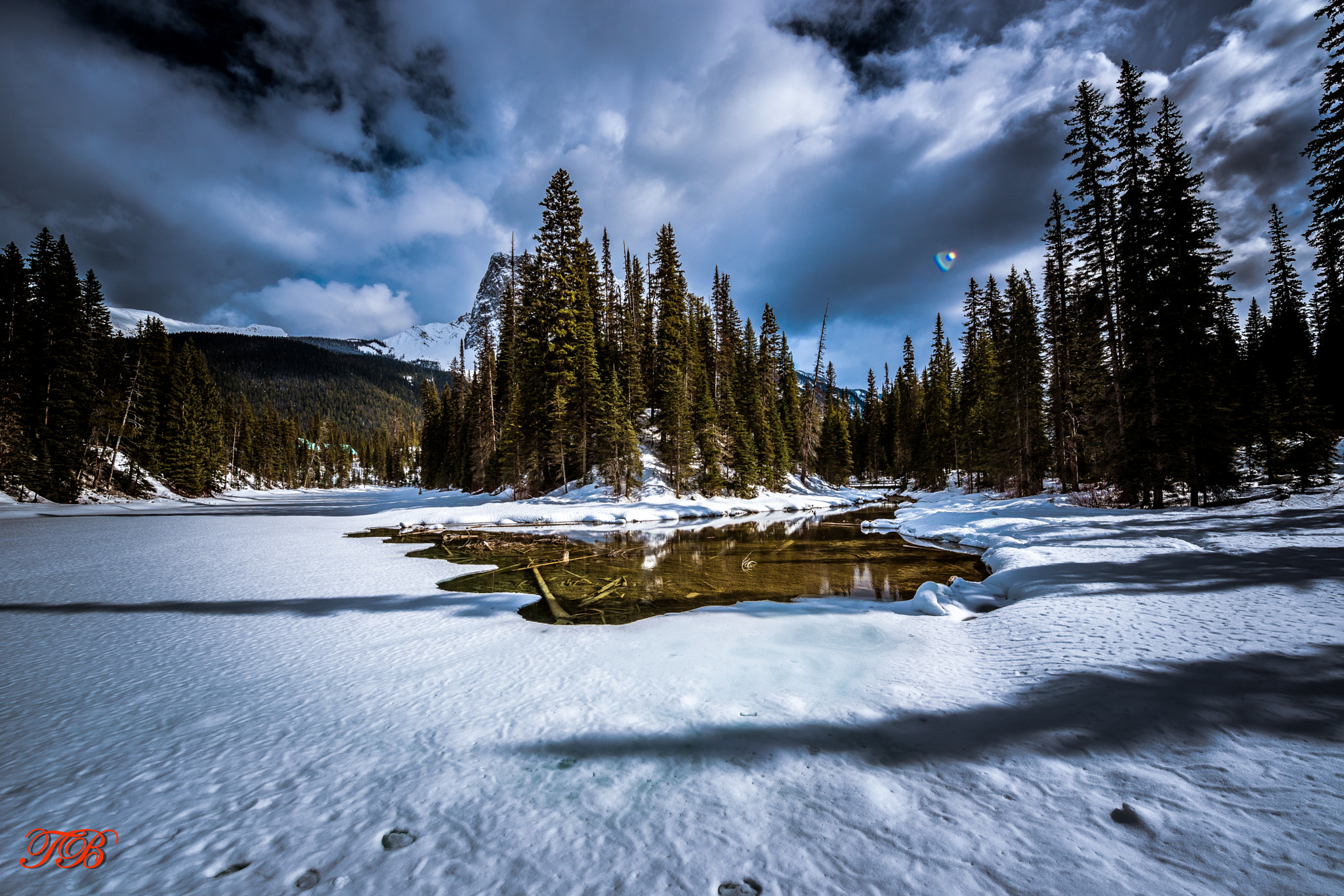 Nikon AF-S Nikkor 14-24mm F2.8G ED sample photo. Nature british colombia photography