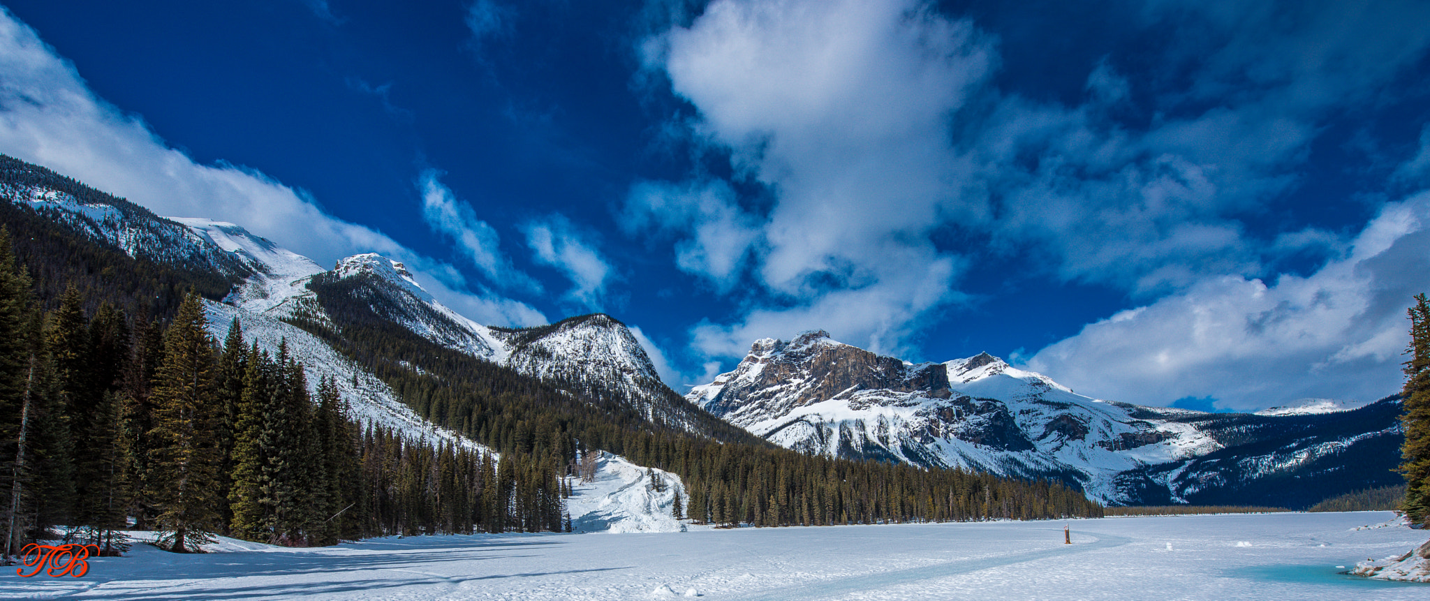 Nikon AF-S Nikkor 14-24mm F2.8G ED sample photo. Nature british colombia photography