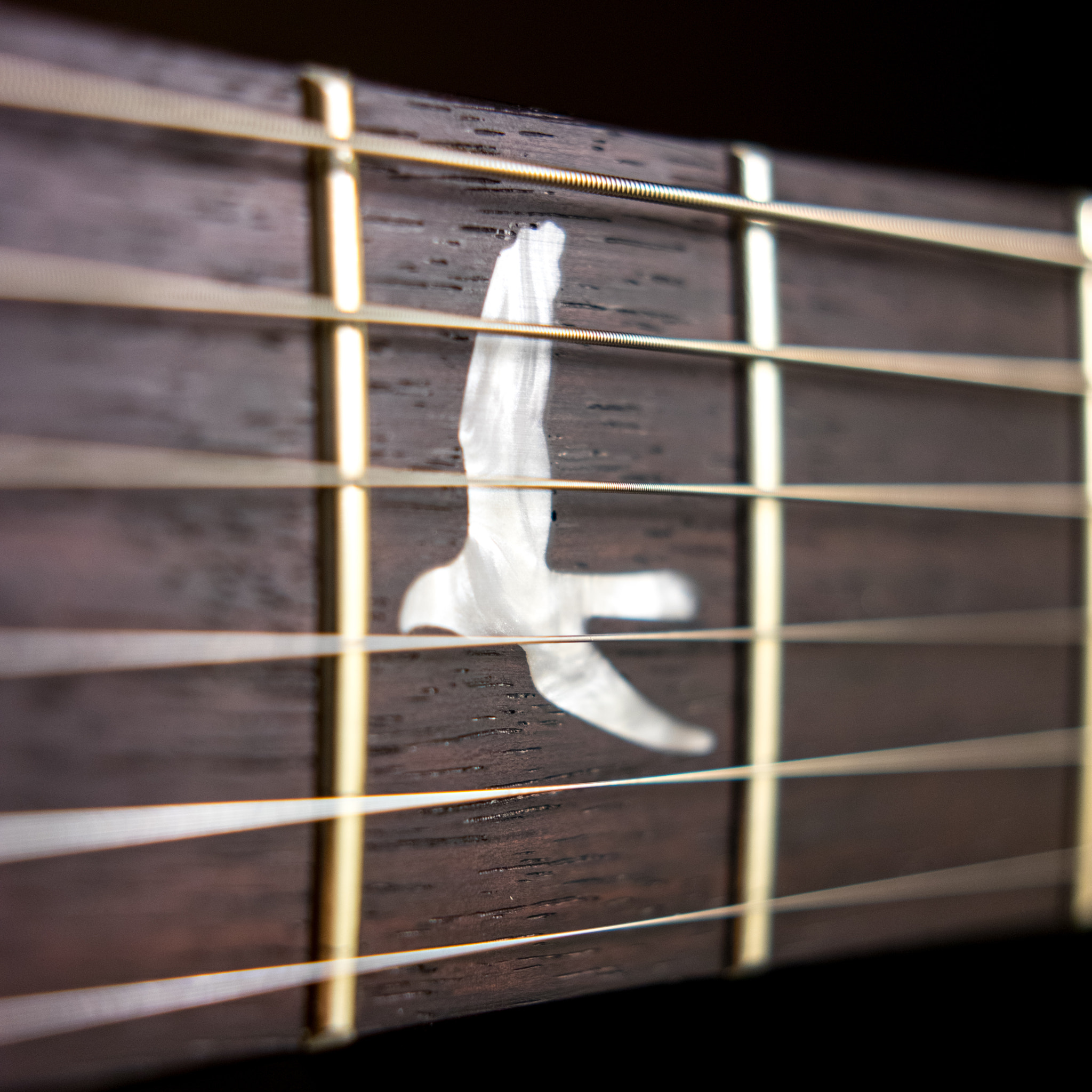 Sony a7 II + Sony Sonnar T* FE 35mm F2.8 ZA sample photo. 297/365: prs photography