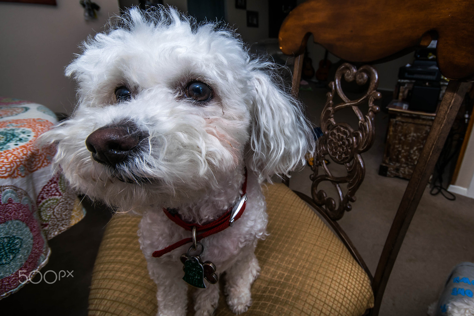 Sigma 10-20mm F4-5.6 EX DC HSM sample photo. Sad face photography