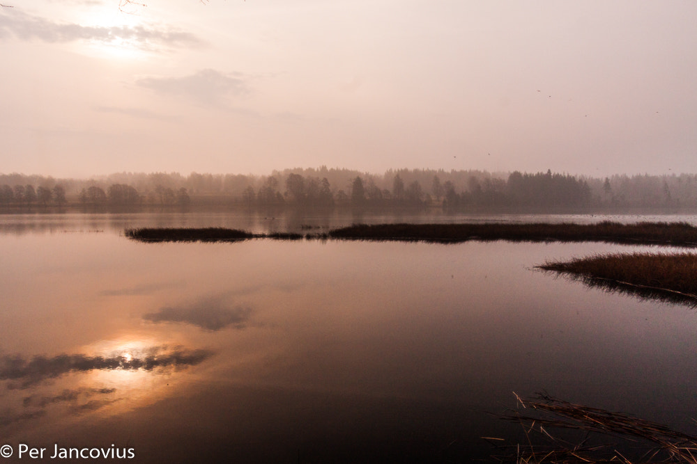 Canon EOS 40D sample photo. Morning light photography