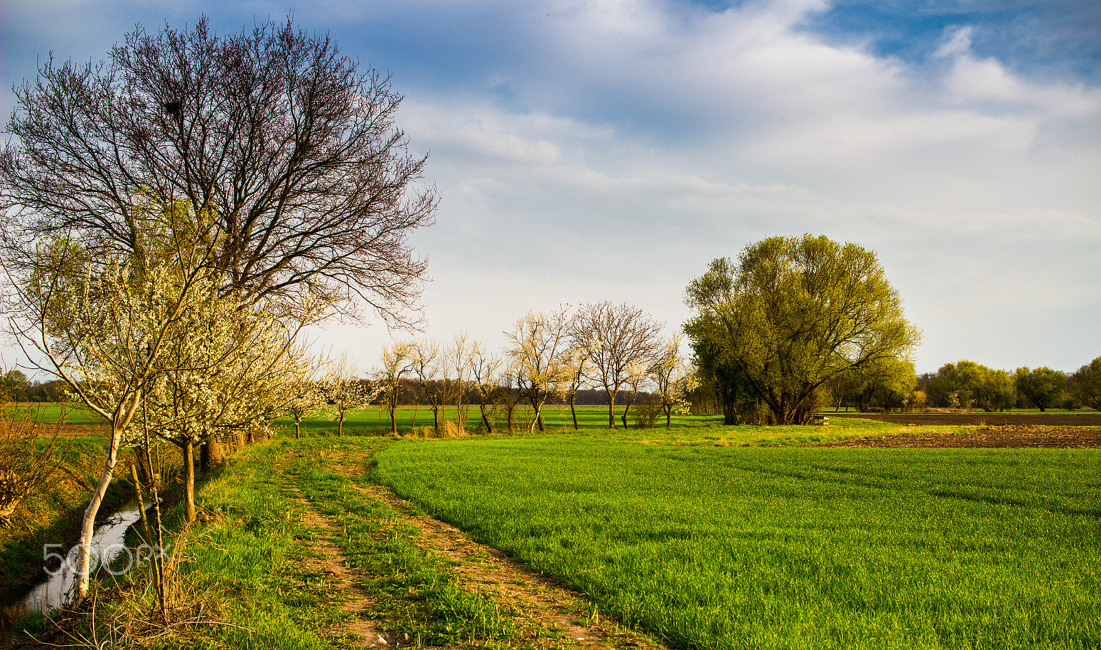 Canon EF-S 24mm F2.8 STM sample photo. Spring sunday photography