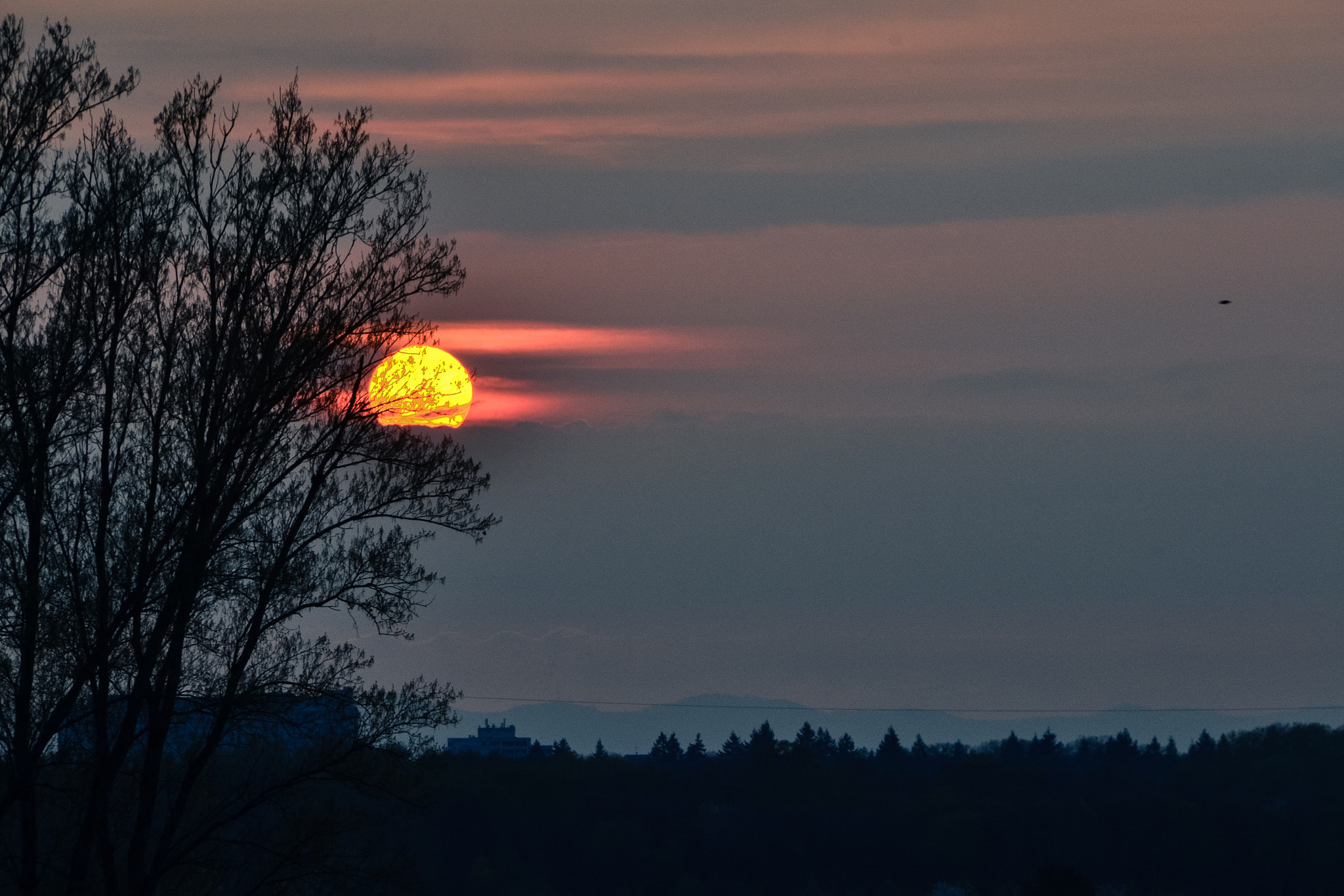 Nikon D3100 + Sigma 18-200mm F3.5-6.3 DC OS HSM sample photo. My lovely place in karlsruhe ❤️ photography