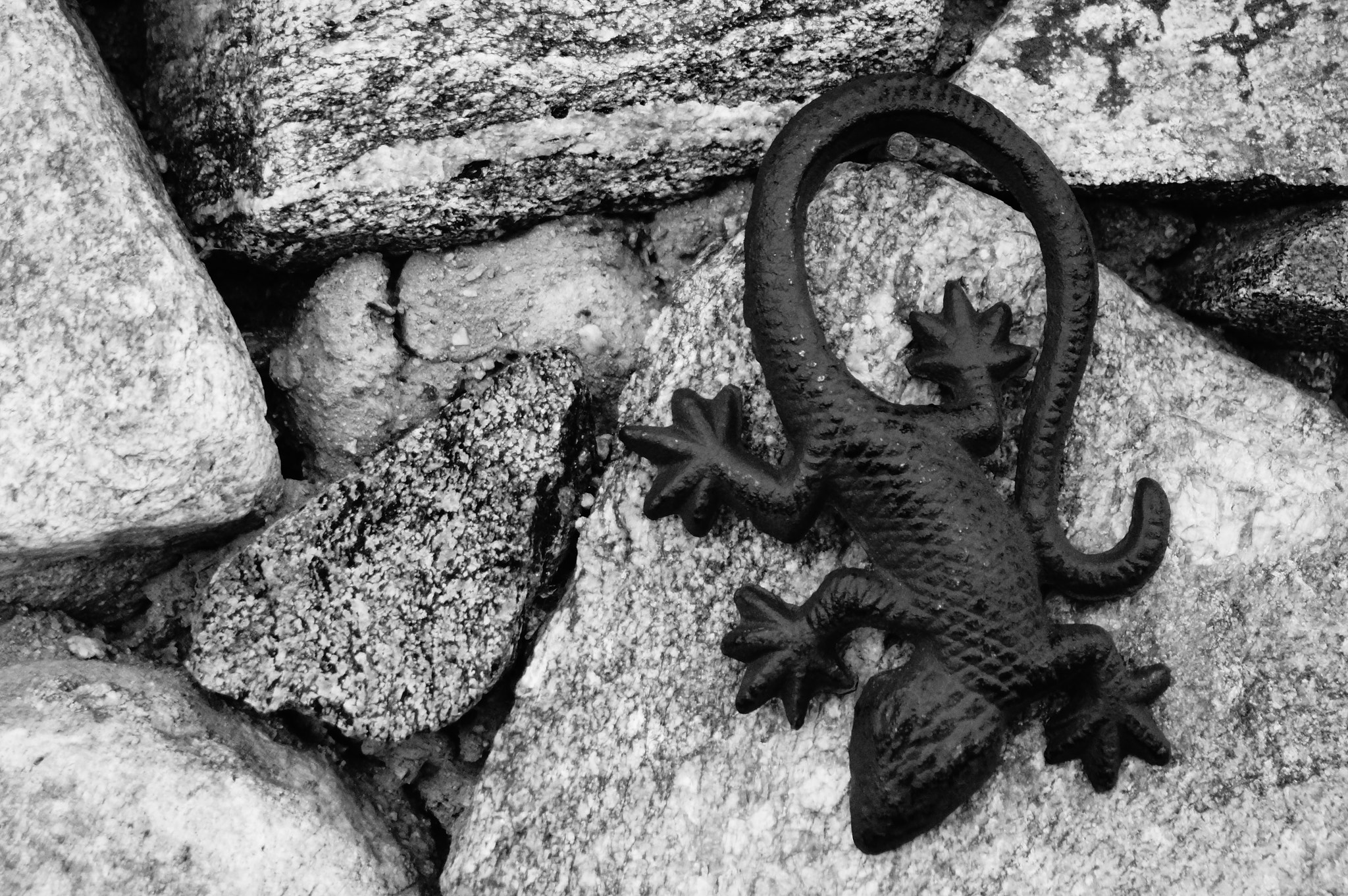 Minolta AF 100-300mm F4.5-5.6 sample photo. Gecko photography