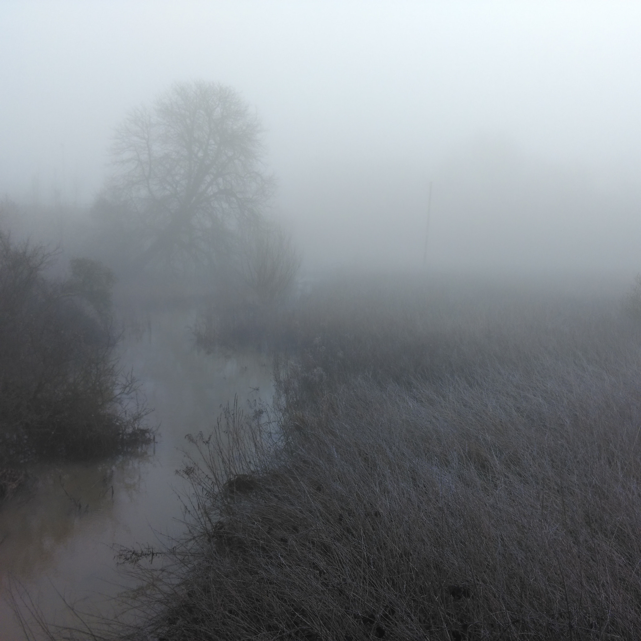 HTC ONE M8S sample photo. Foggy morning on the river colne photography
