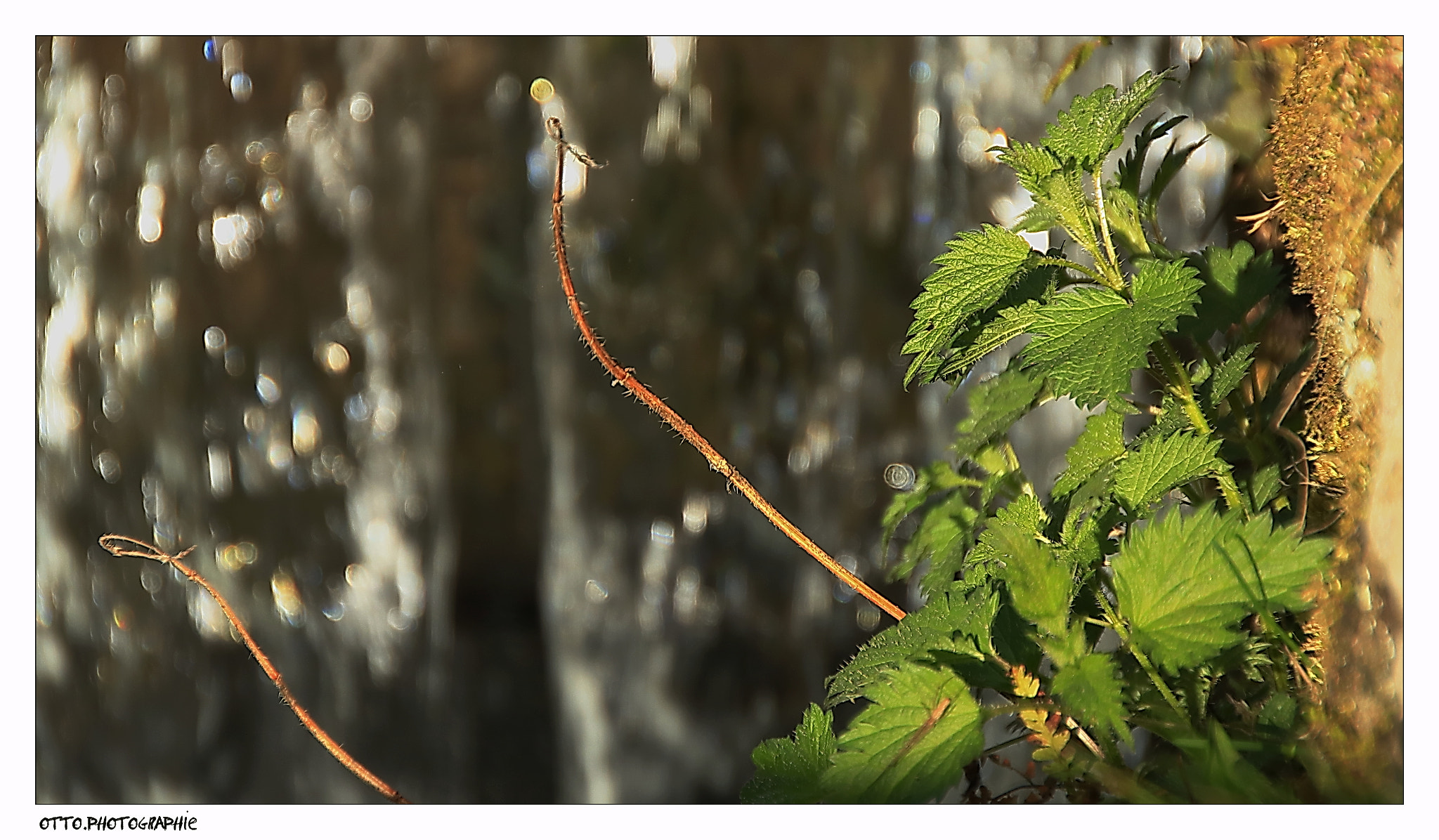Sigma 18-250mm F3.5-6.3 DC OS HSM sample photo. Am wasser photography