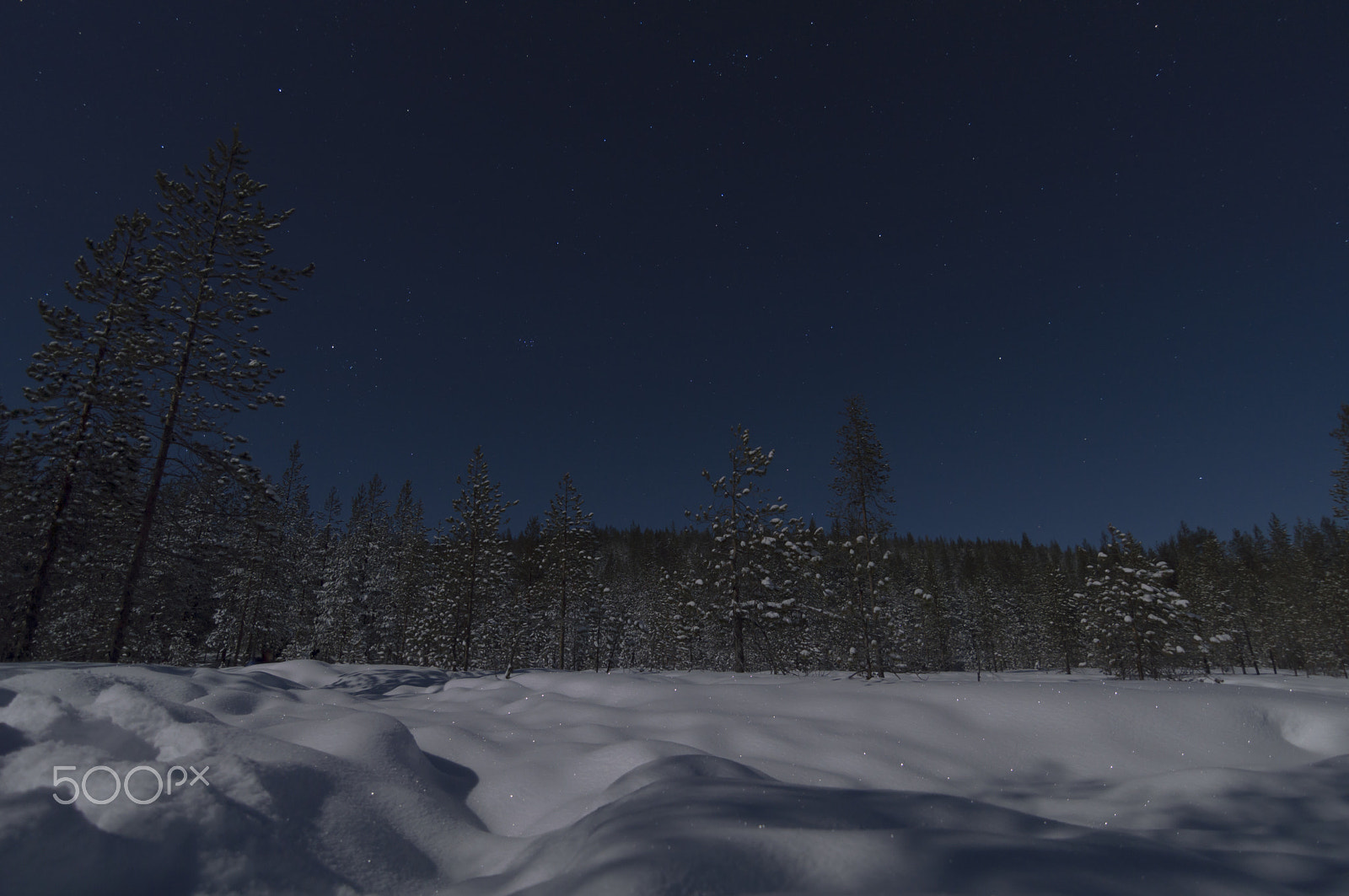 Nikon D3200 sample photo. Night at lapland photography