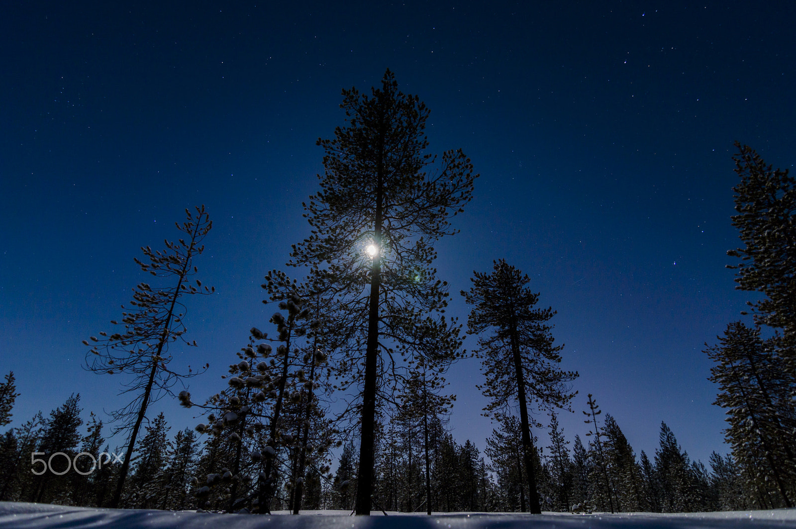 Nikon D3200 sample photo. Moon over the snow. photography