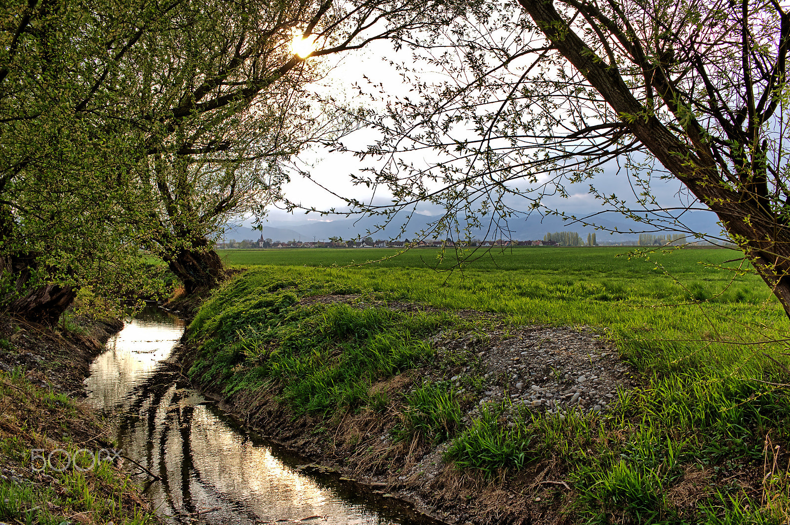 Canon EF-S 24mm F2.8 STM sample photo. Walk in the field photography