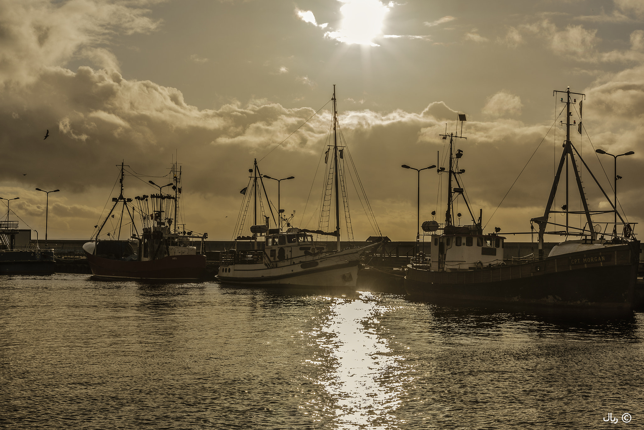 Nikon D810 sample photo. Golden harbor photography