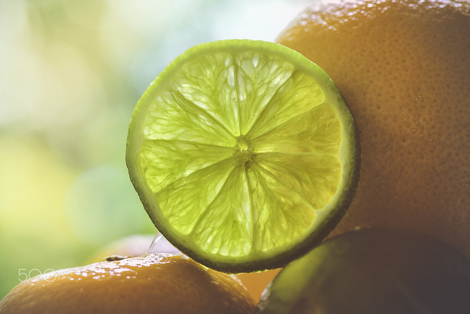 Nikon AF-S Micro-Nikkor 105mm F2.8G IF-ED VR sample photo. Citrus fruits photography