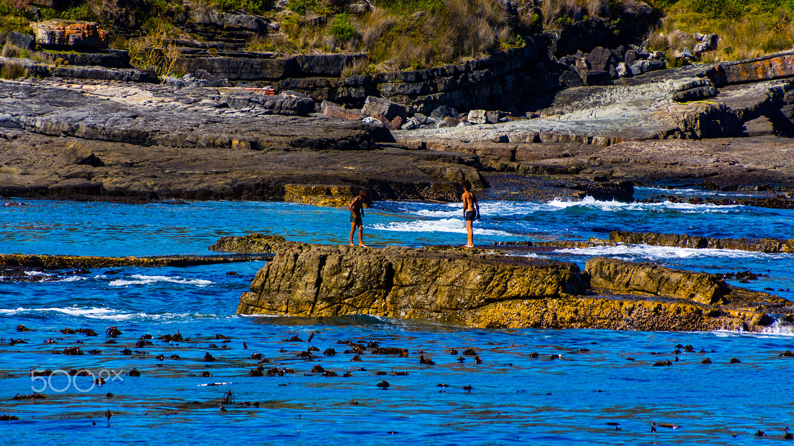 Nikon D7200 sample photo. South africa photography