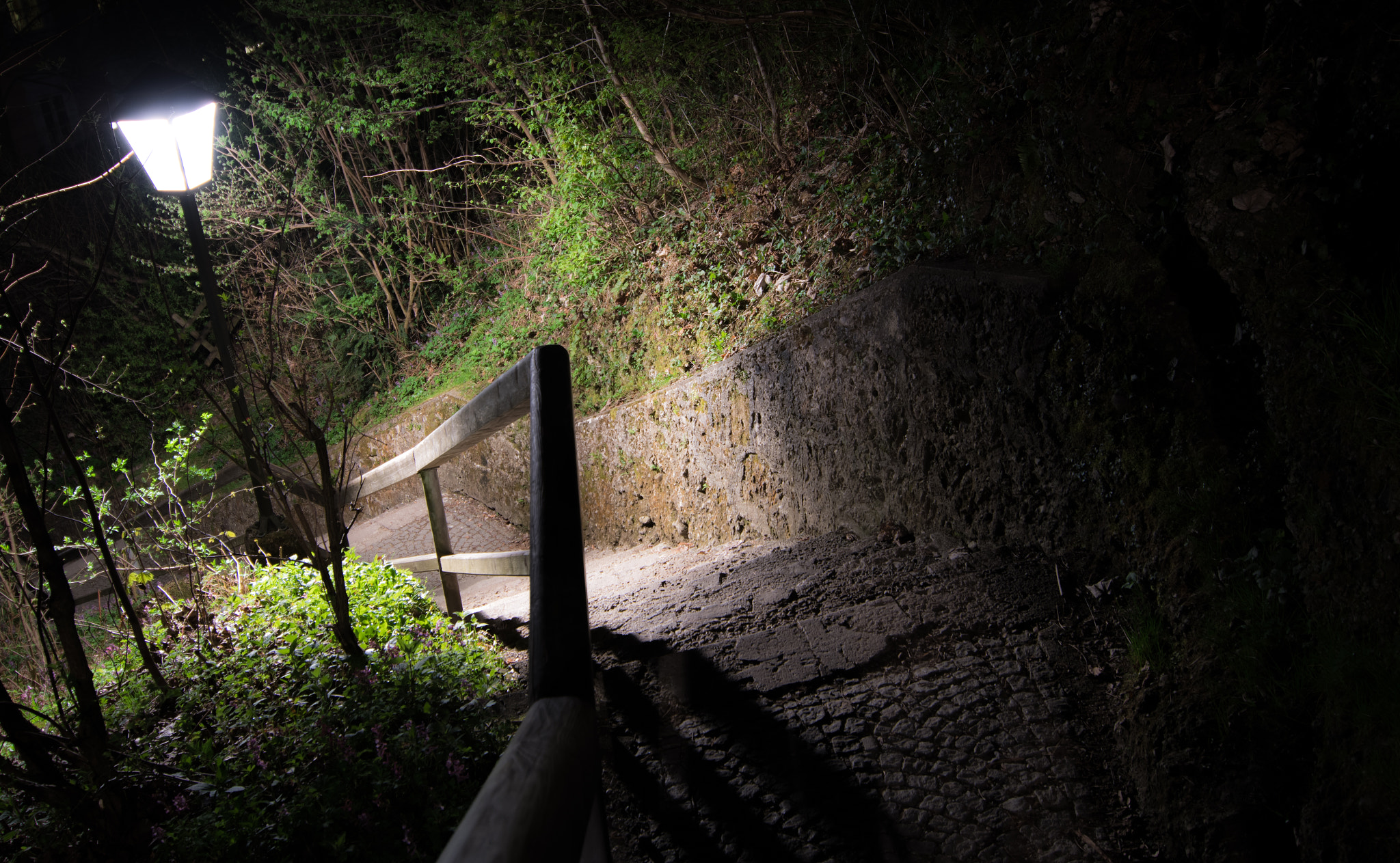 Tokina AT-X Pro 12-24mm F4 (IF) DX sample photo. "take my light", photography