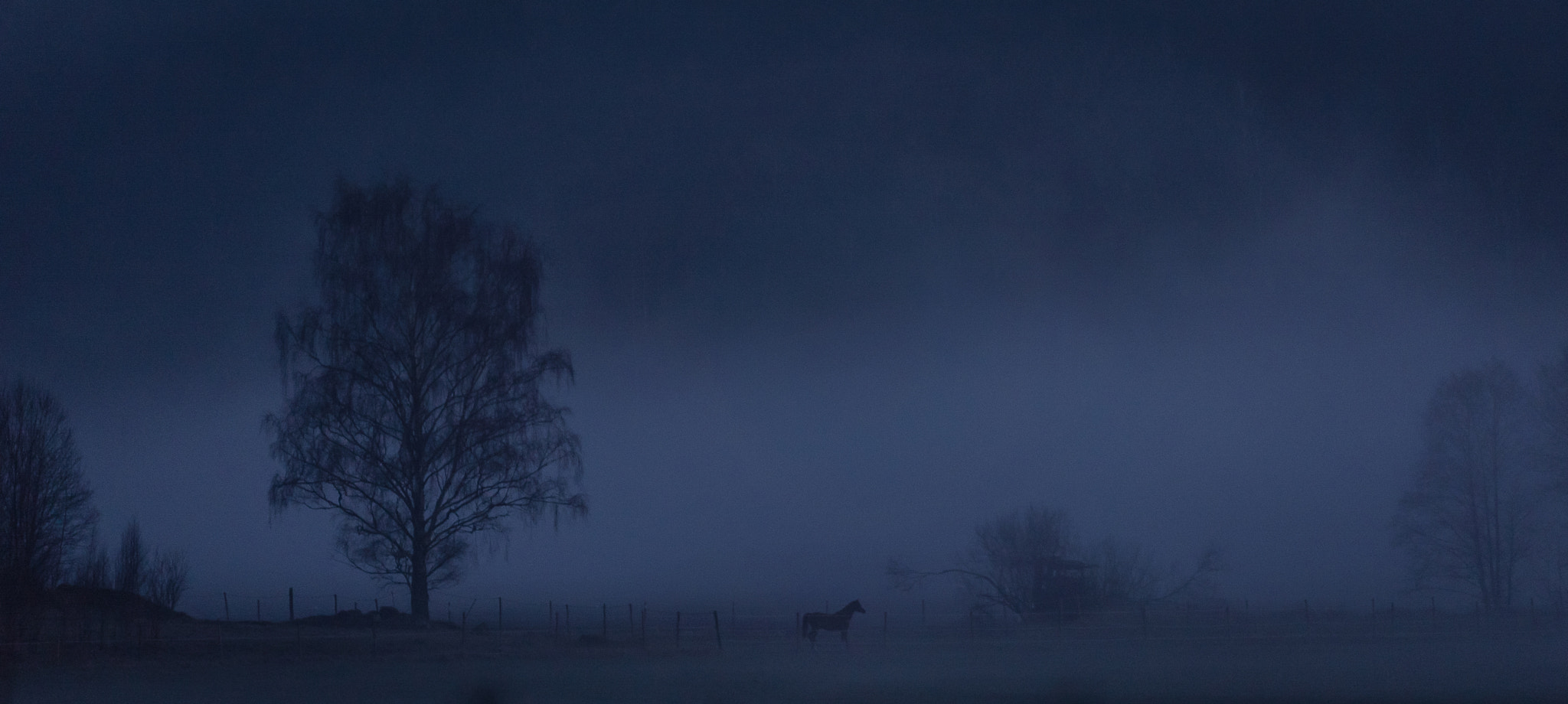 Sony a7S + Sony FE 70-200mm F4 G OSS sample photo. Horse in mist photography