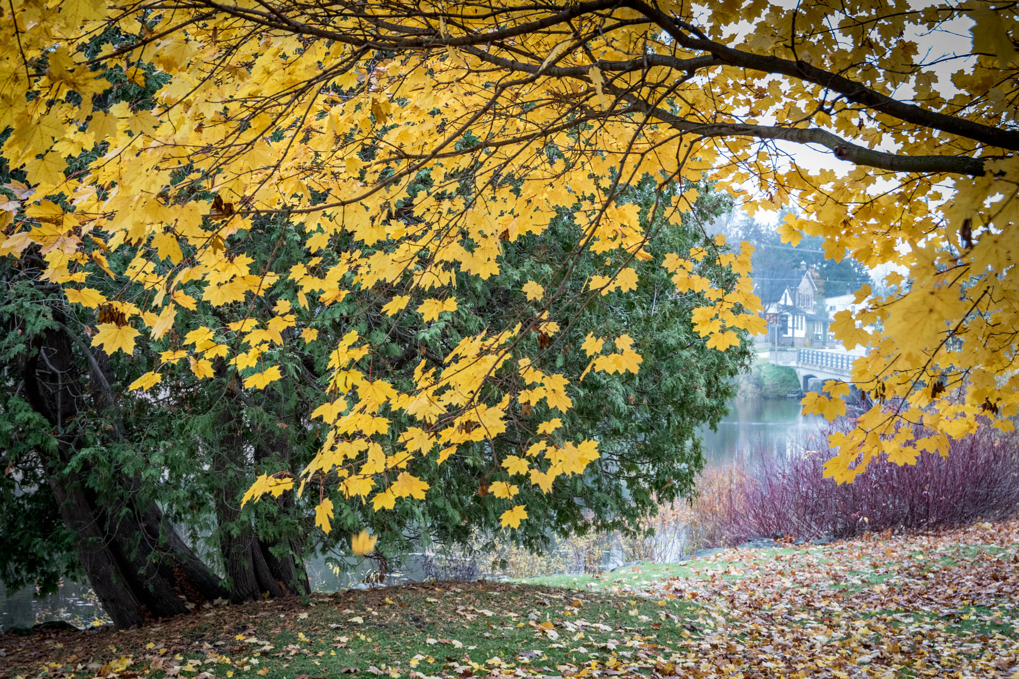 Sigma 17-50mm F2.8 EX DC OS HSM sample photo. Fall in rockwood photography